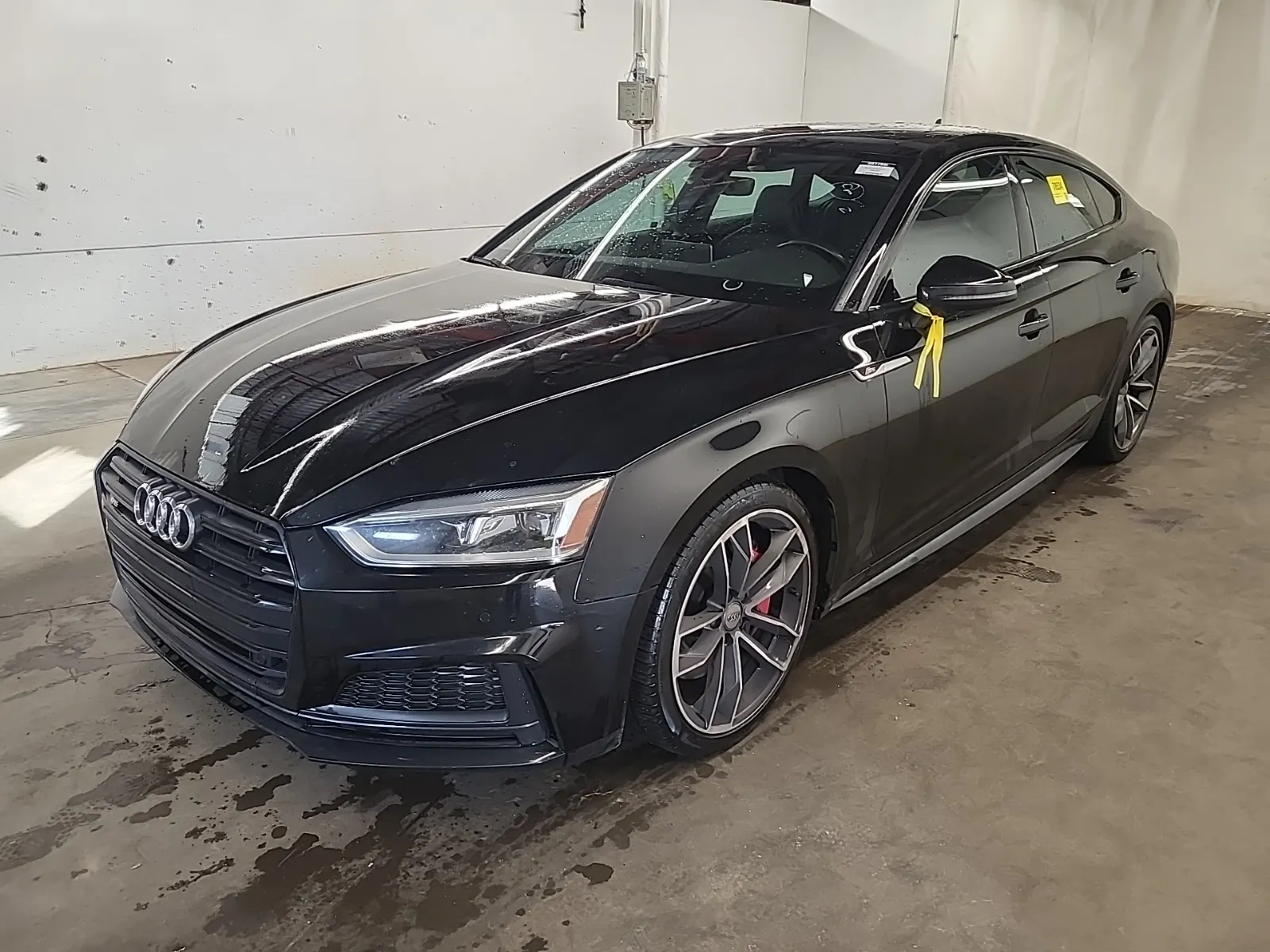 2019 Audi S5 Sportback