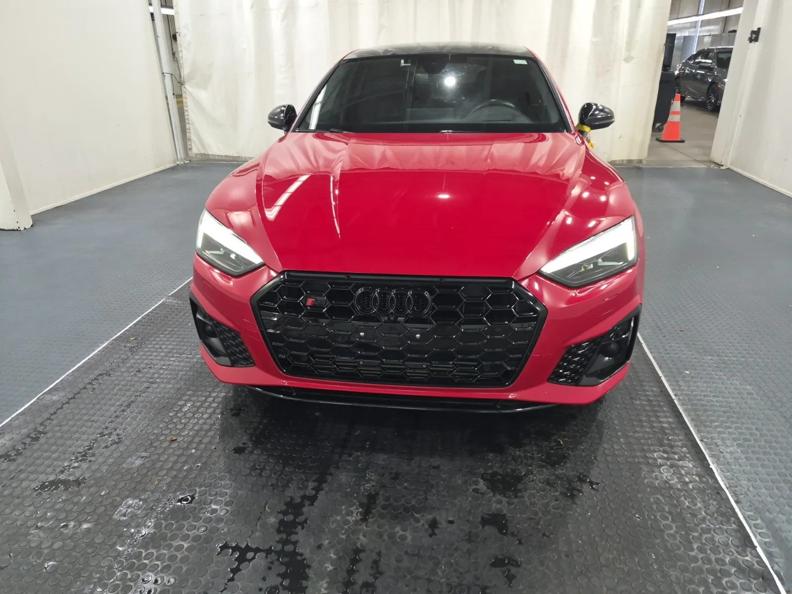 Full Front Photo