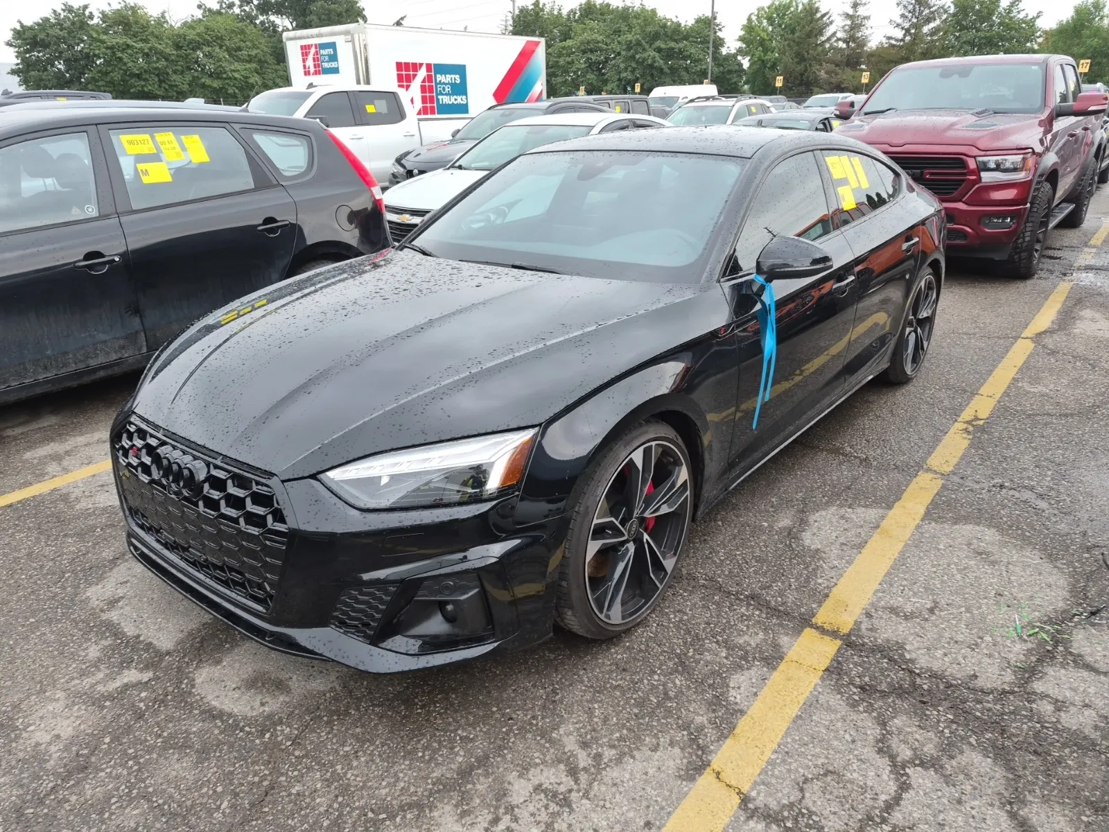 2023 Audi S5 Sportback