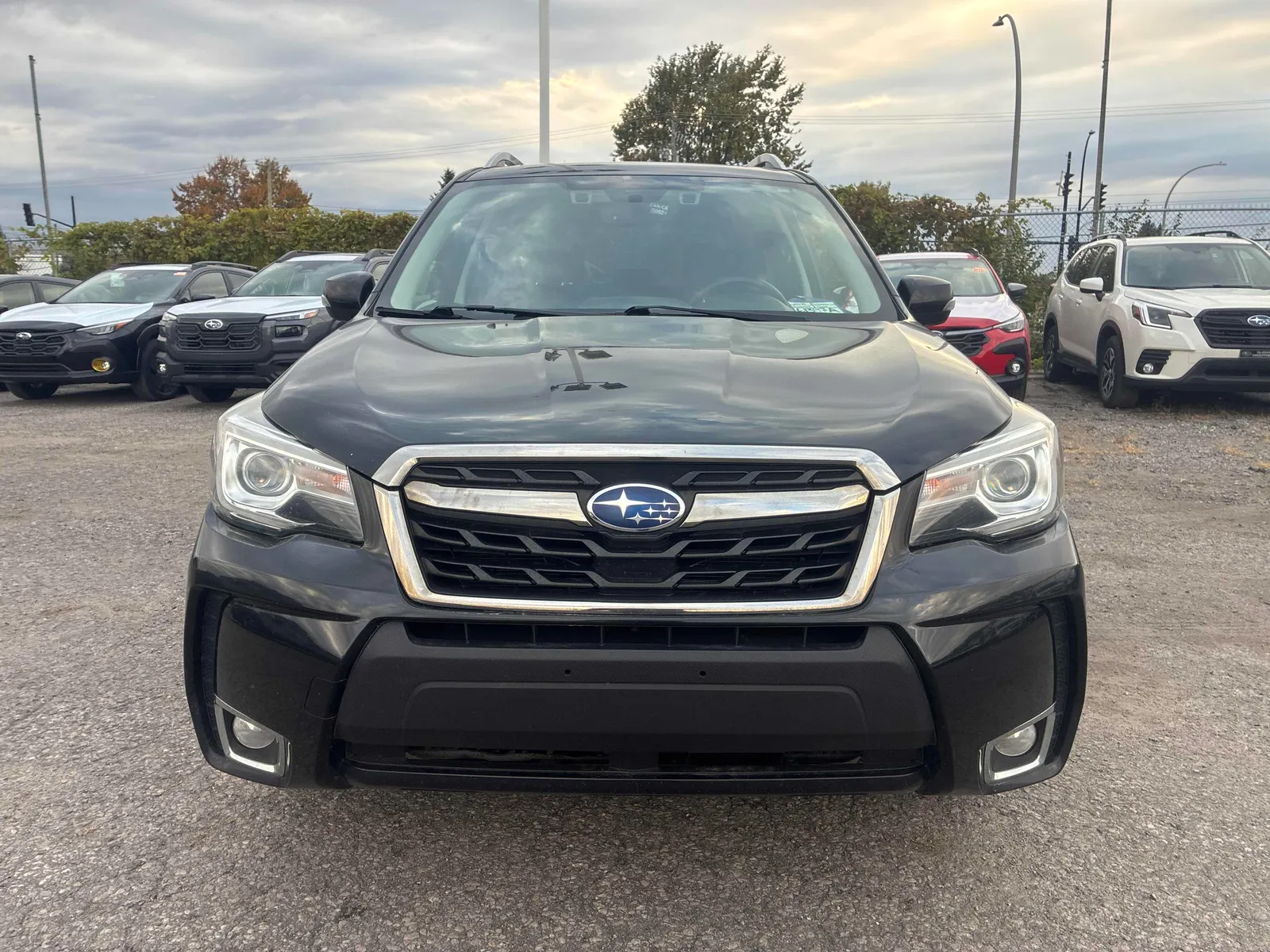Front