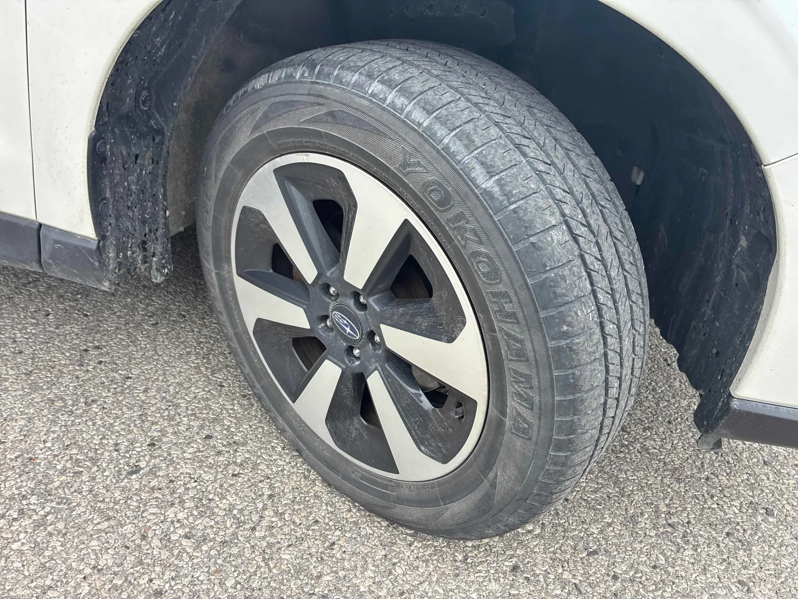 Tire