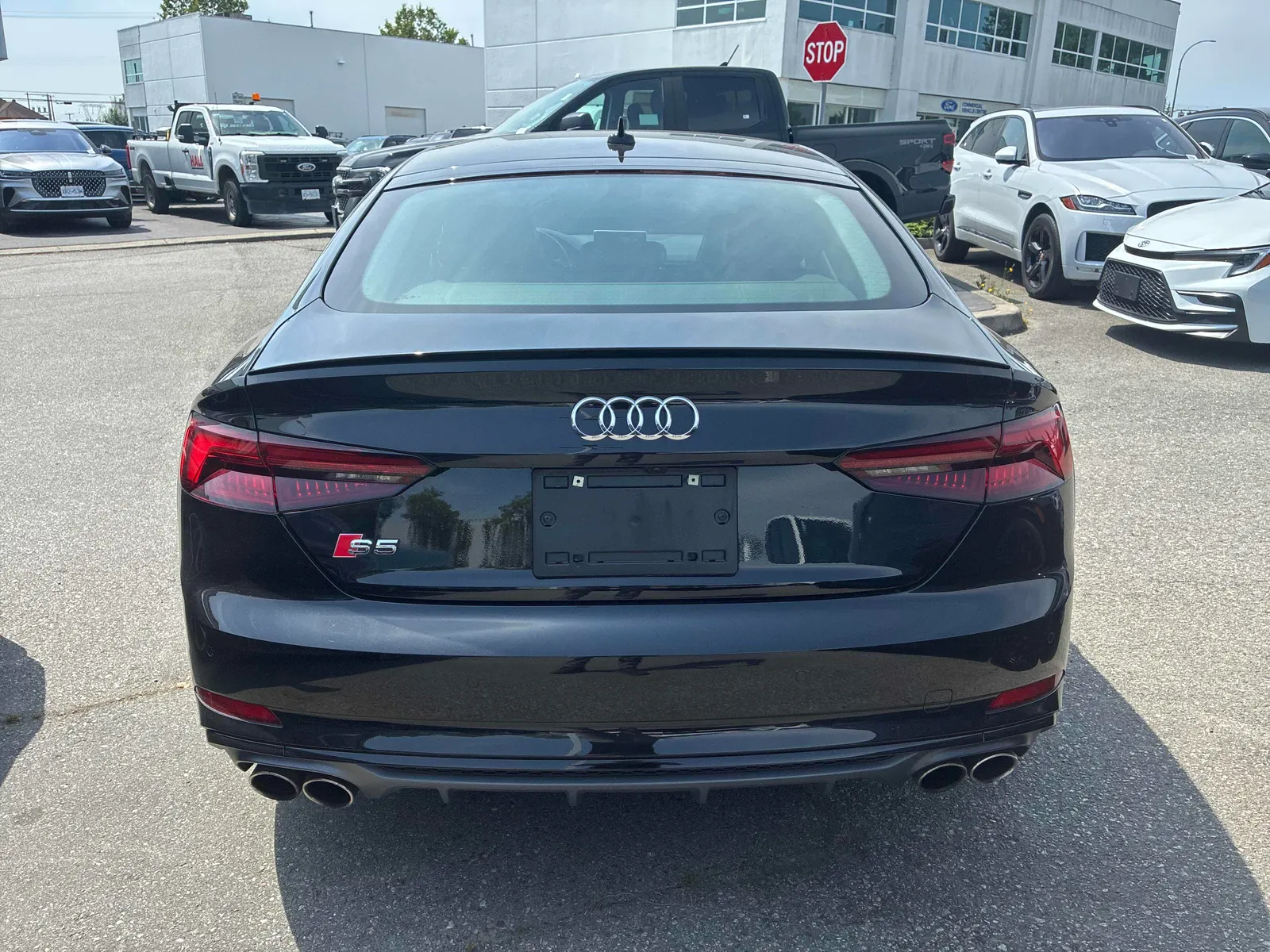 Back