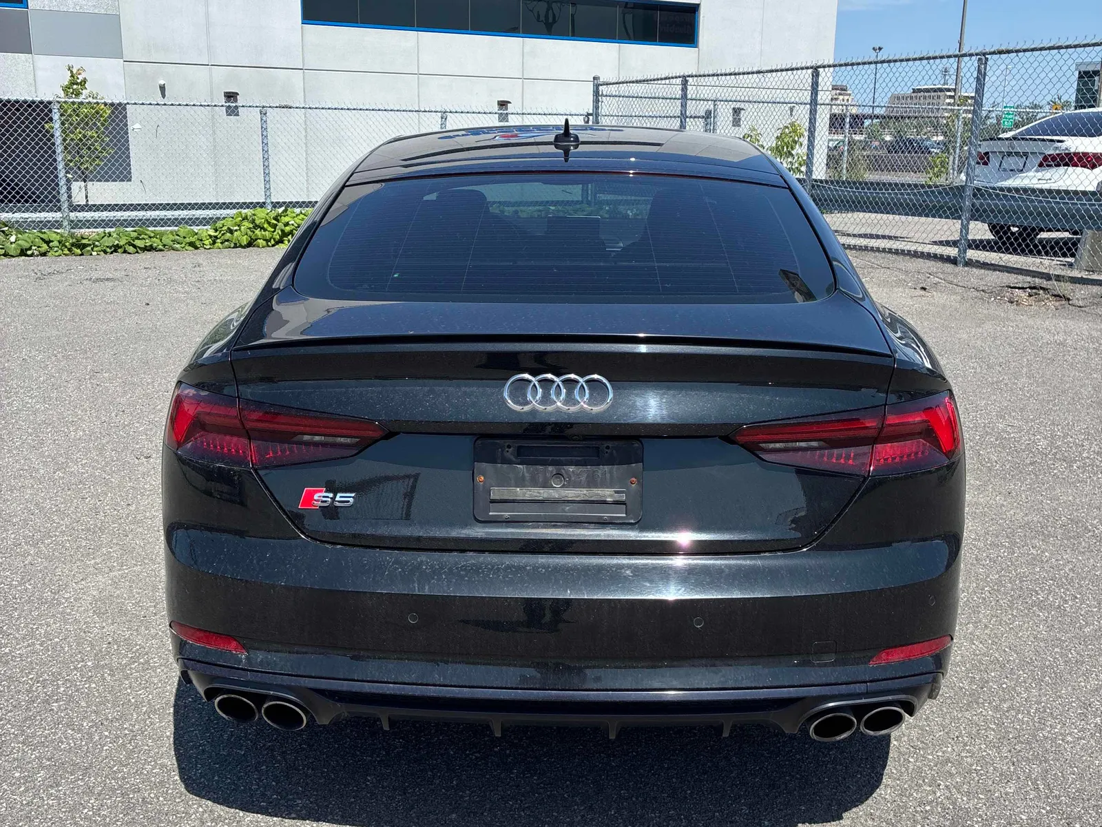 Back
