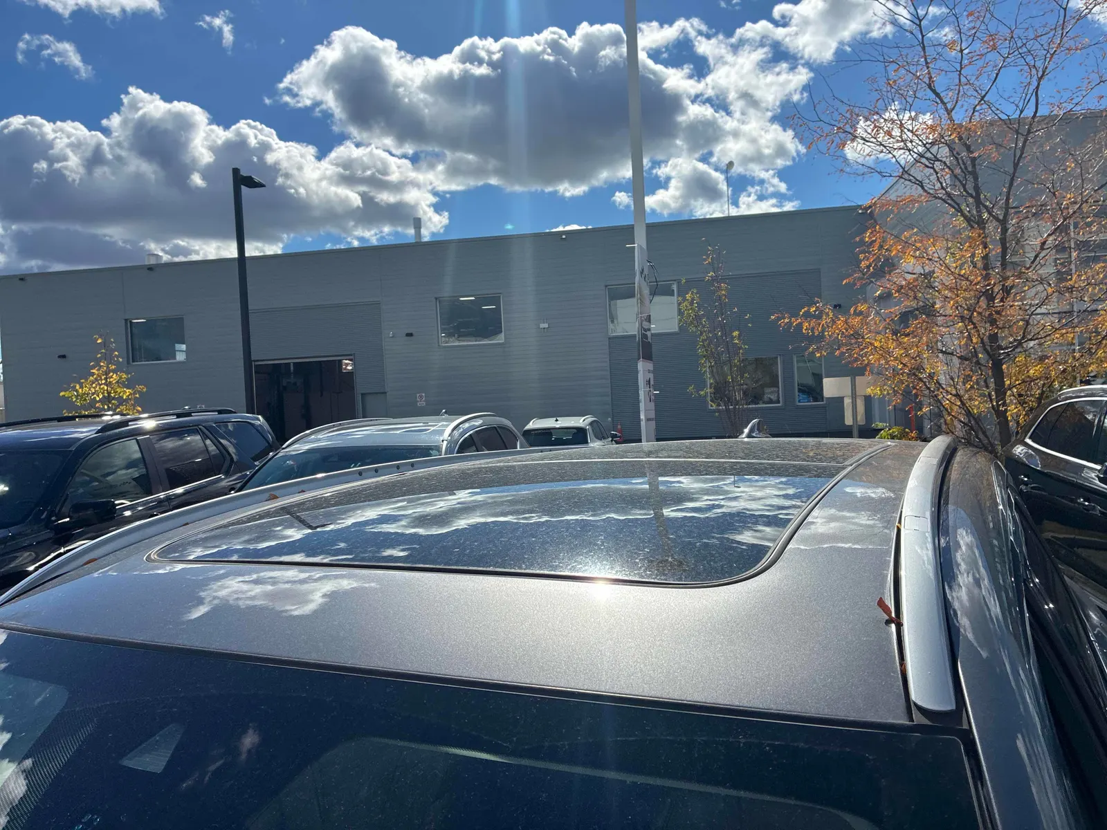 Additional Photo