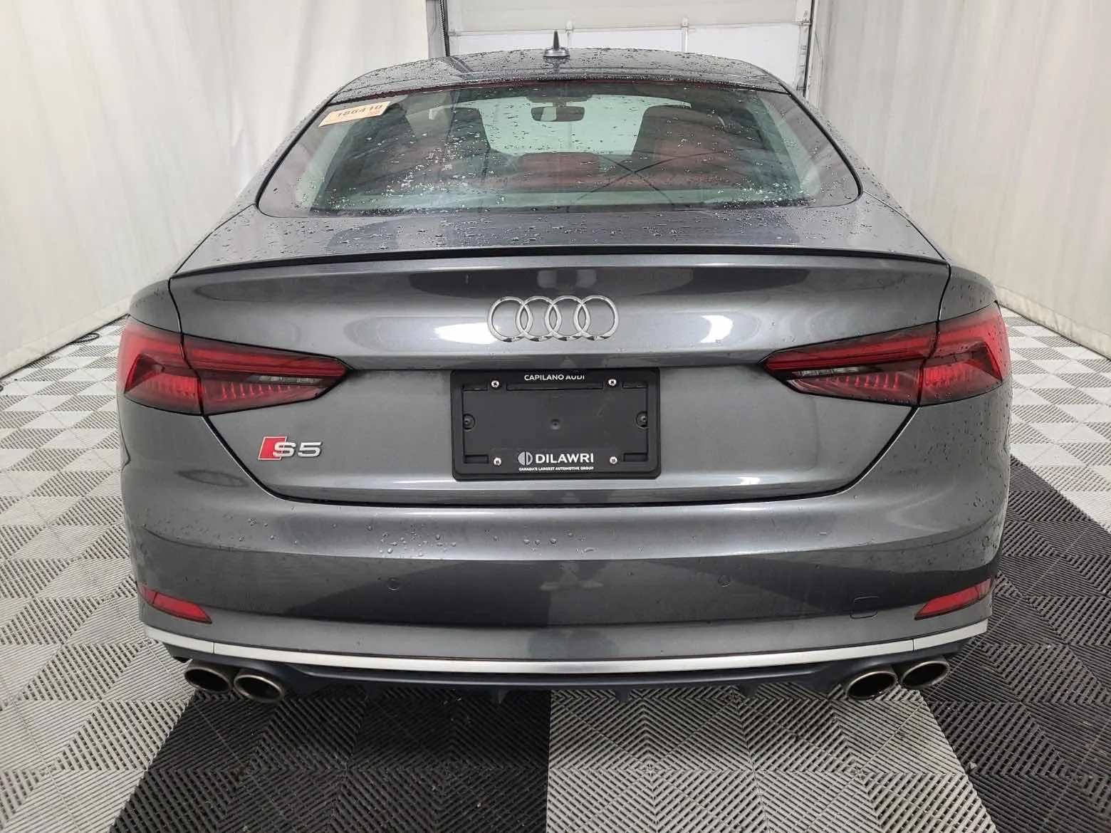 Back