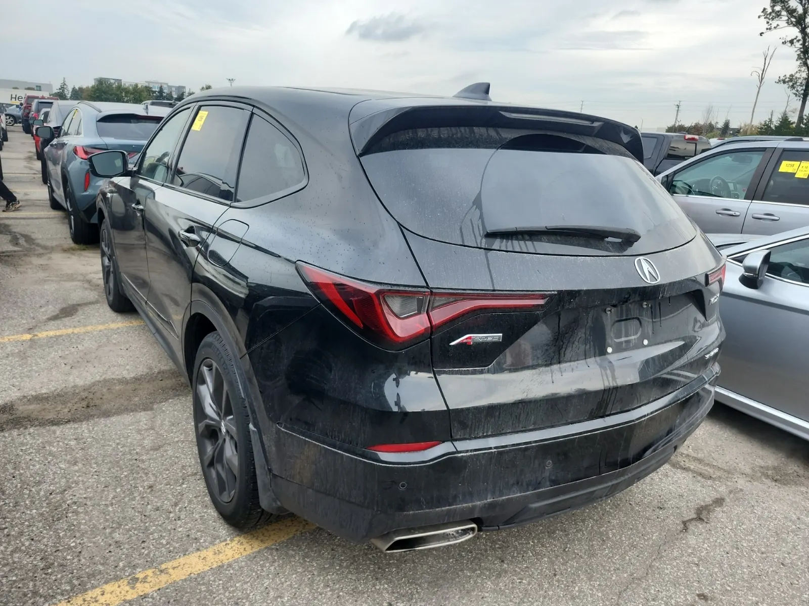 Driver Rear 3/4 Photo