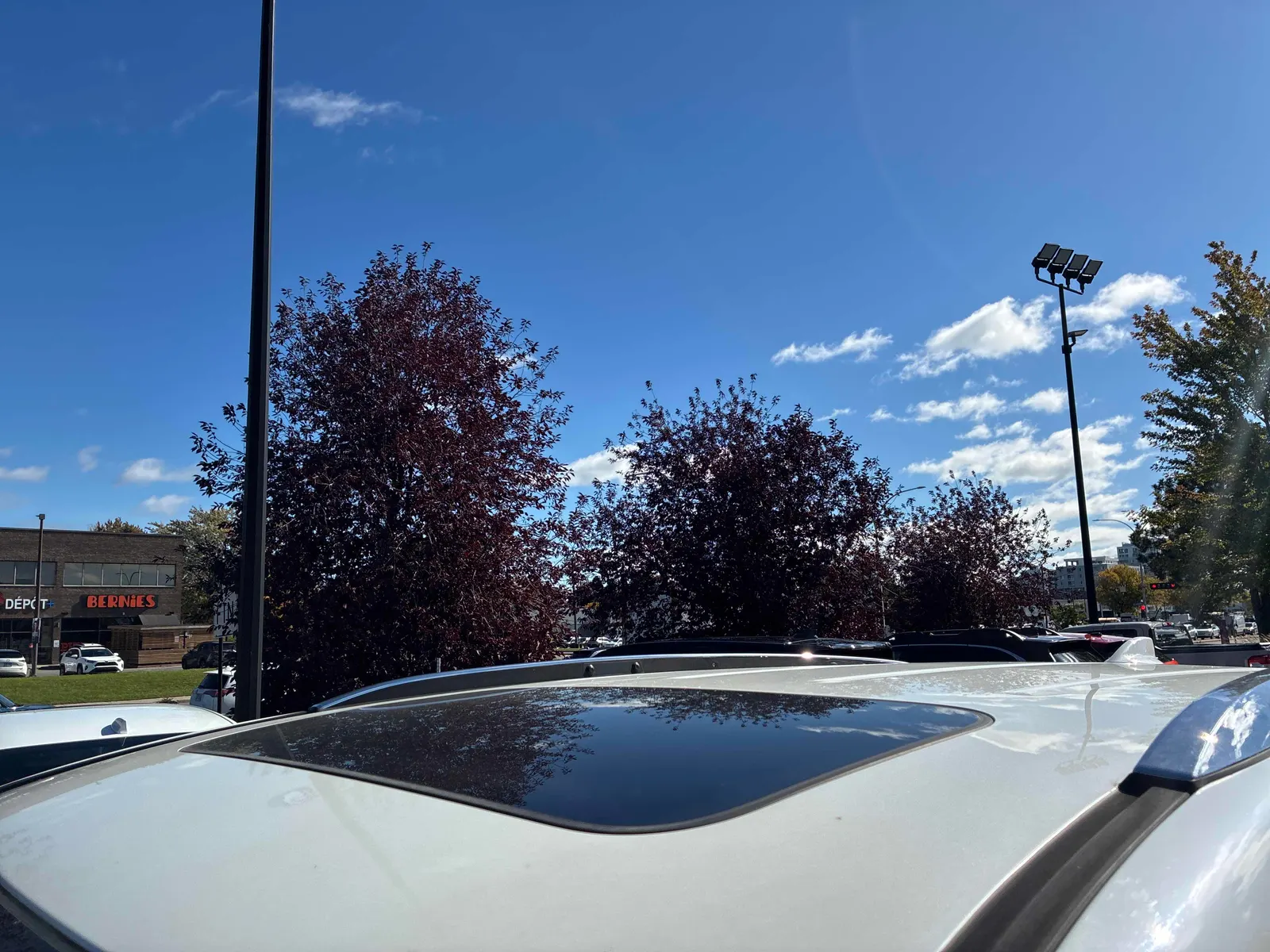 Additional Photo