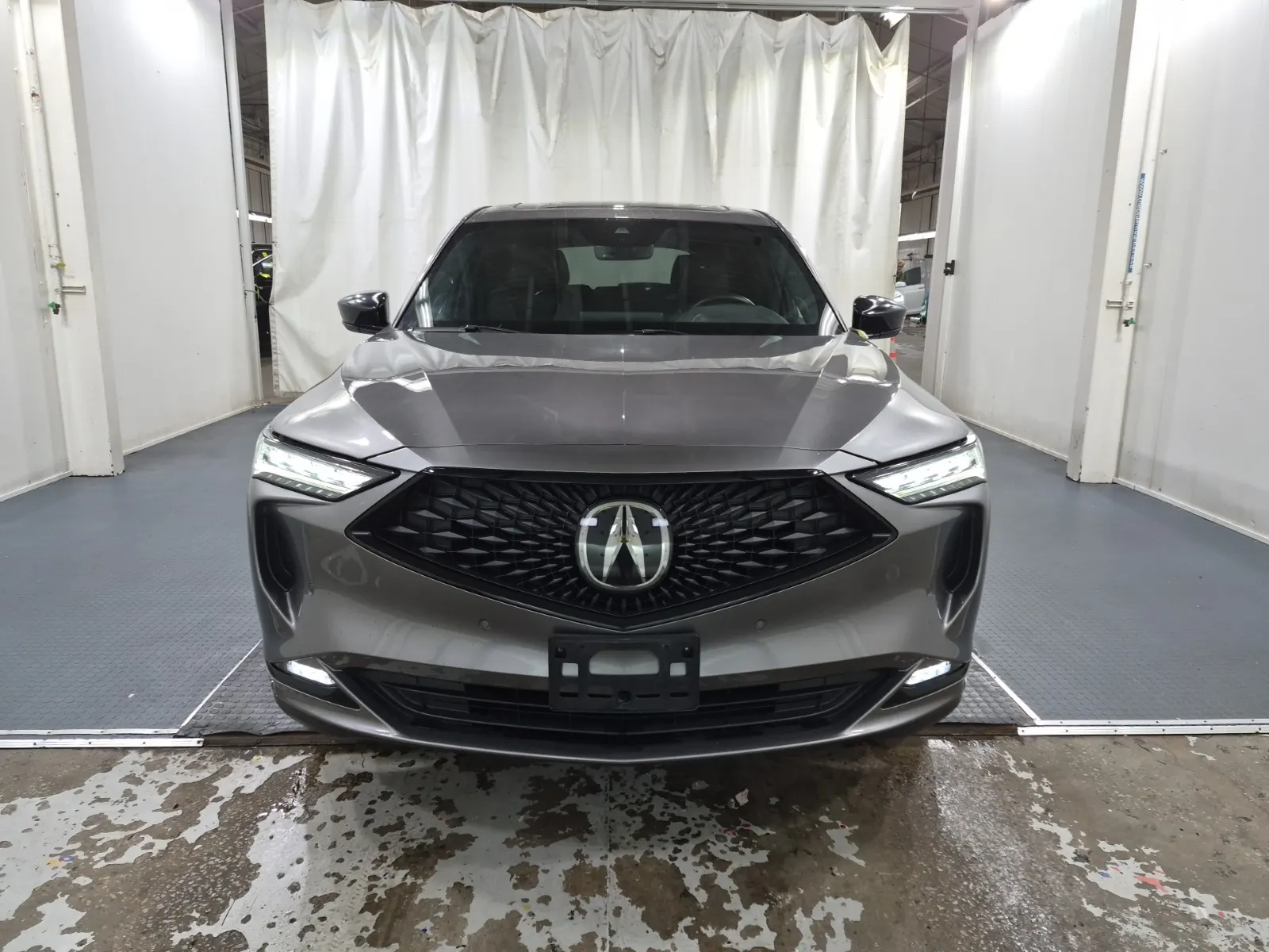 Full Front Photo