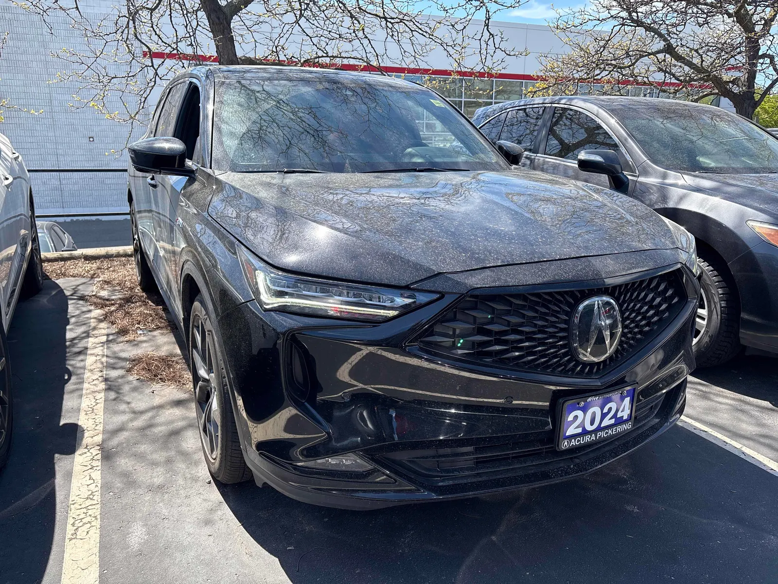 Front