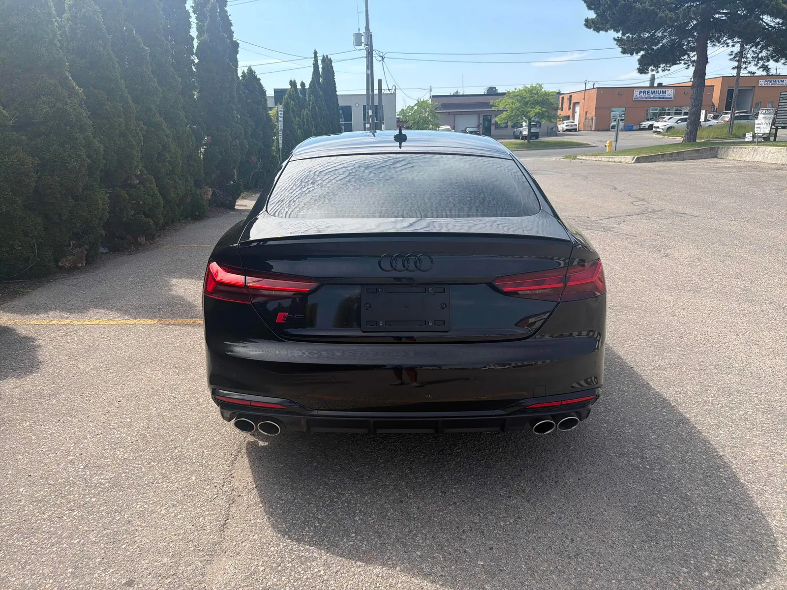 Back