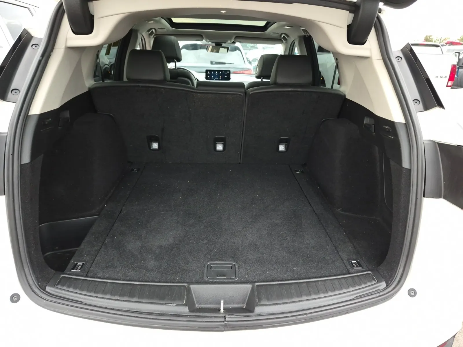Cargo Area Photo