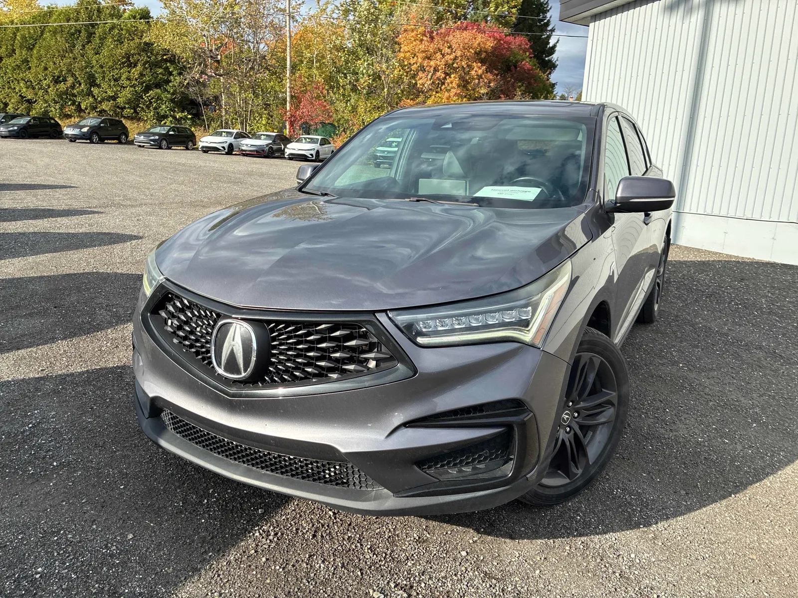 3/4 Front (Main image)