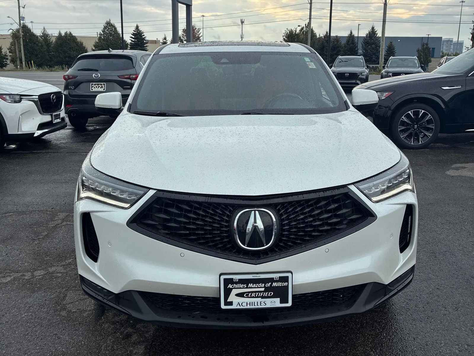 Front