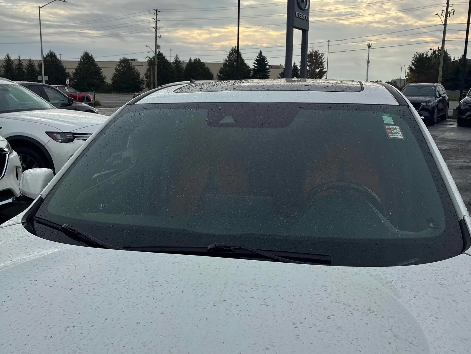 Additional Photo