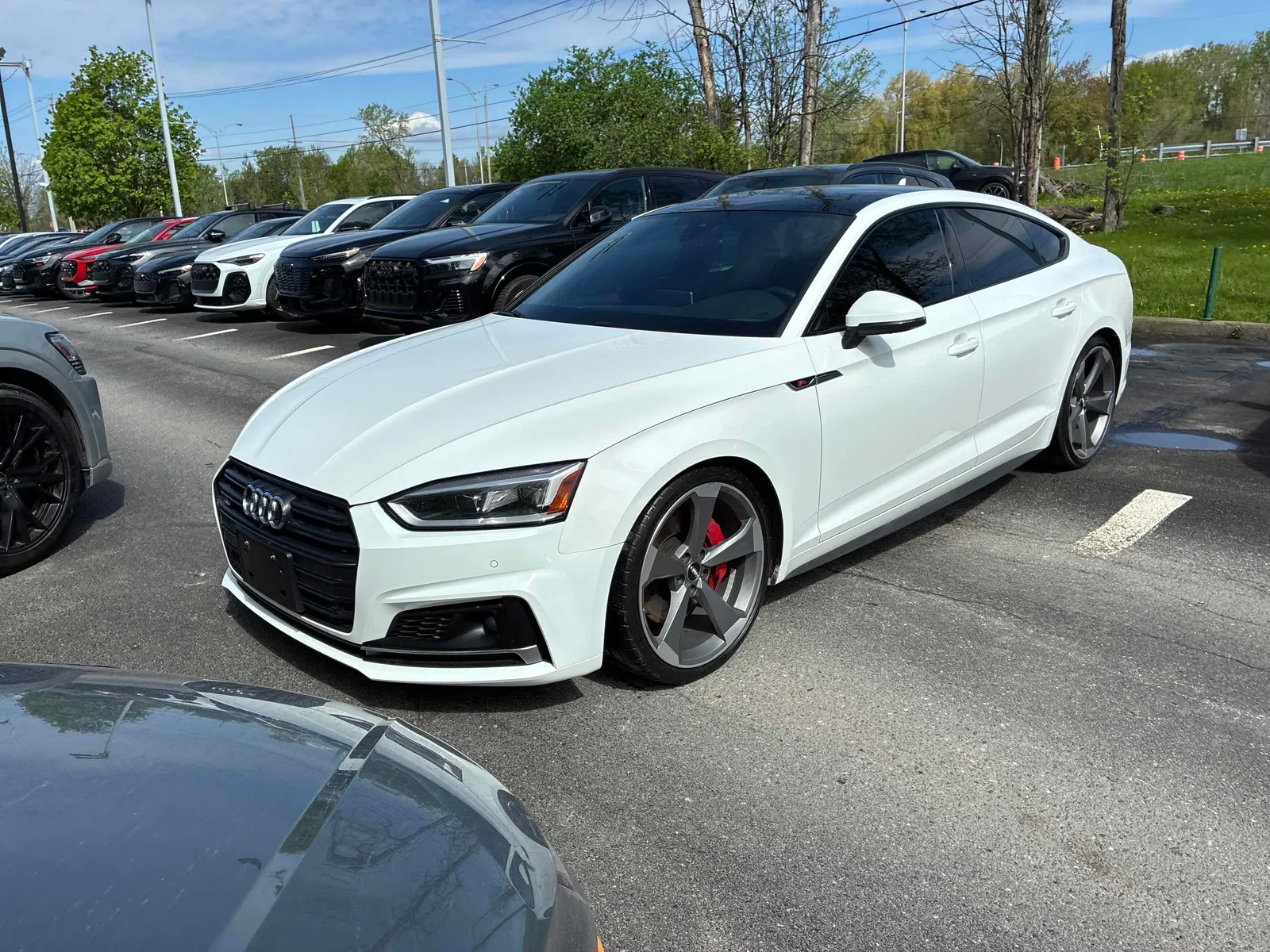 2019 Audi S5 Sportback