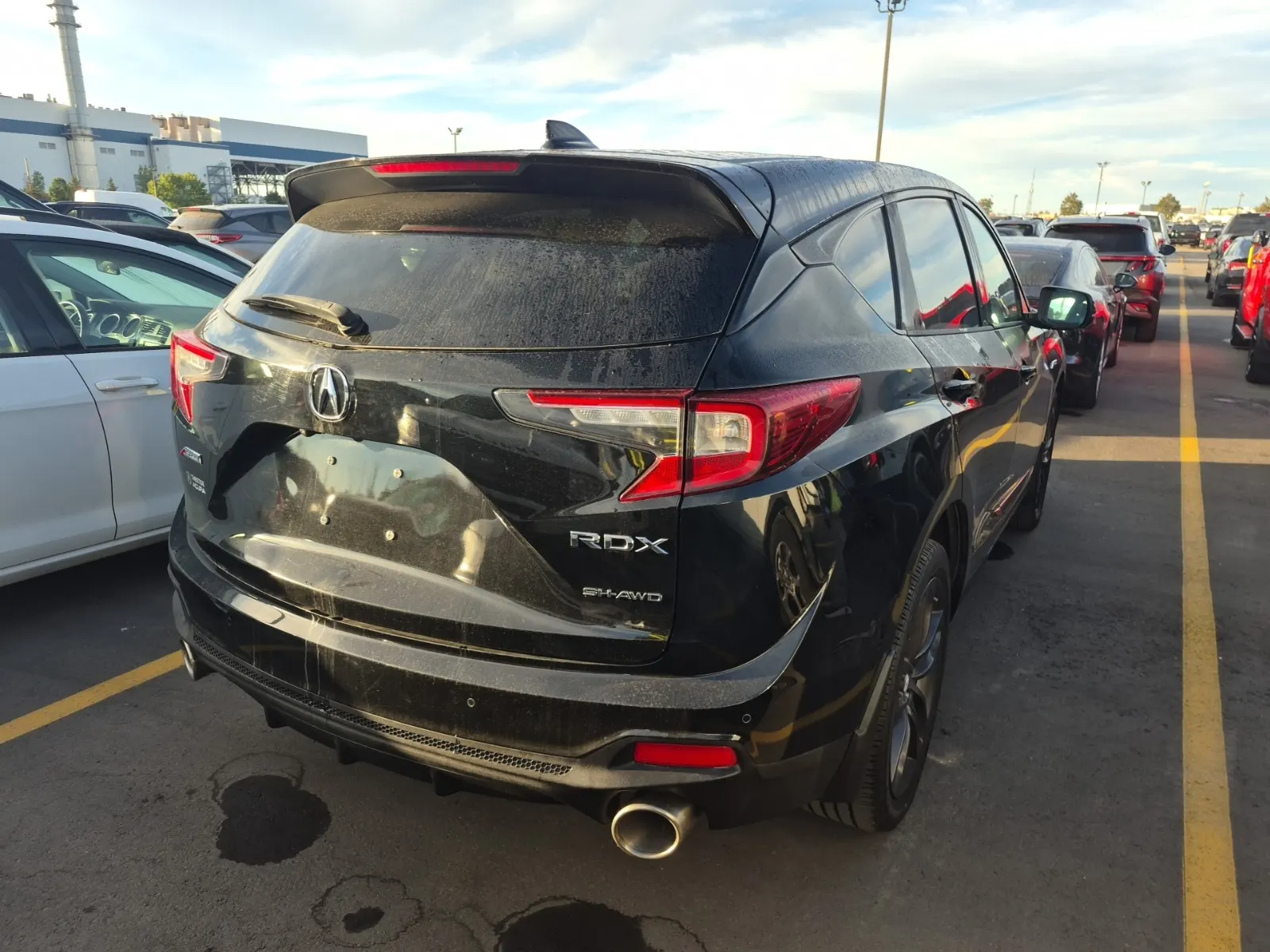 Passenger Rear 3/4 Photo