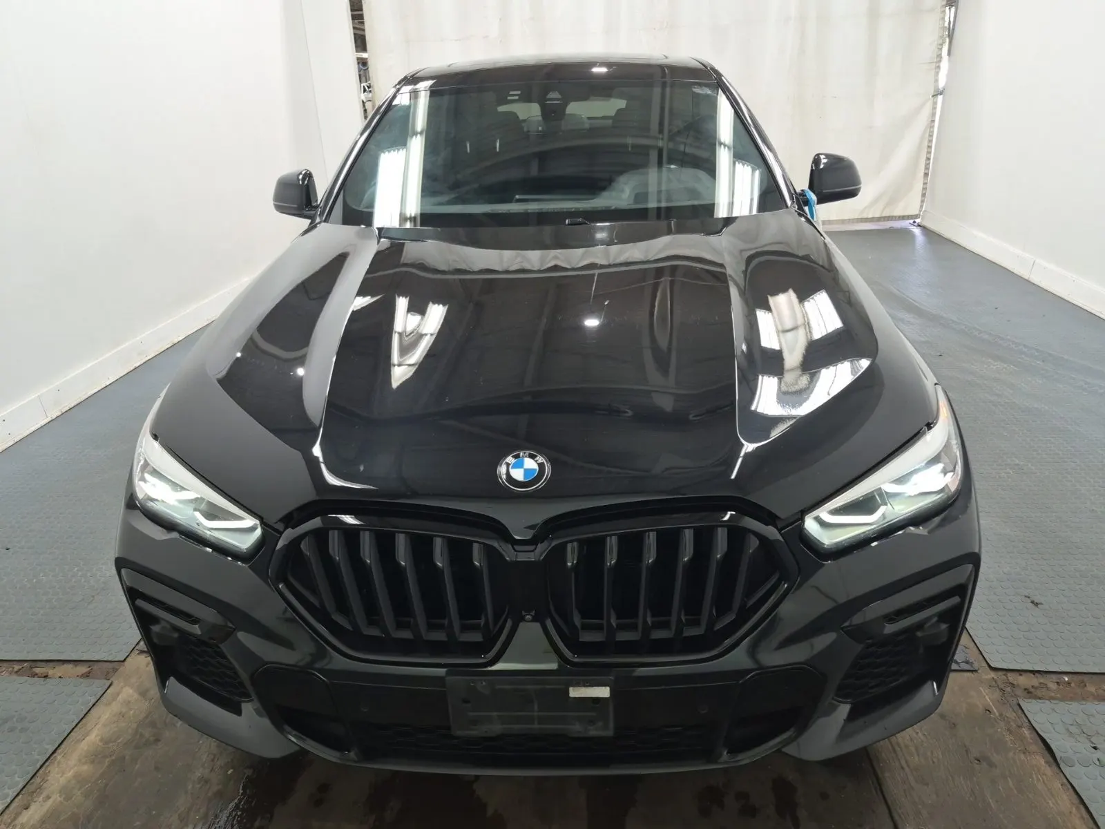 Full Front Photo