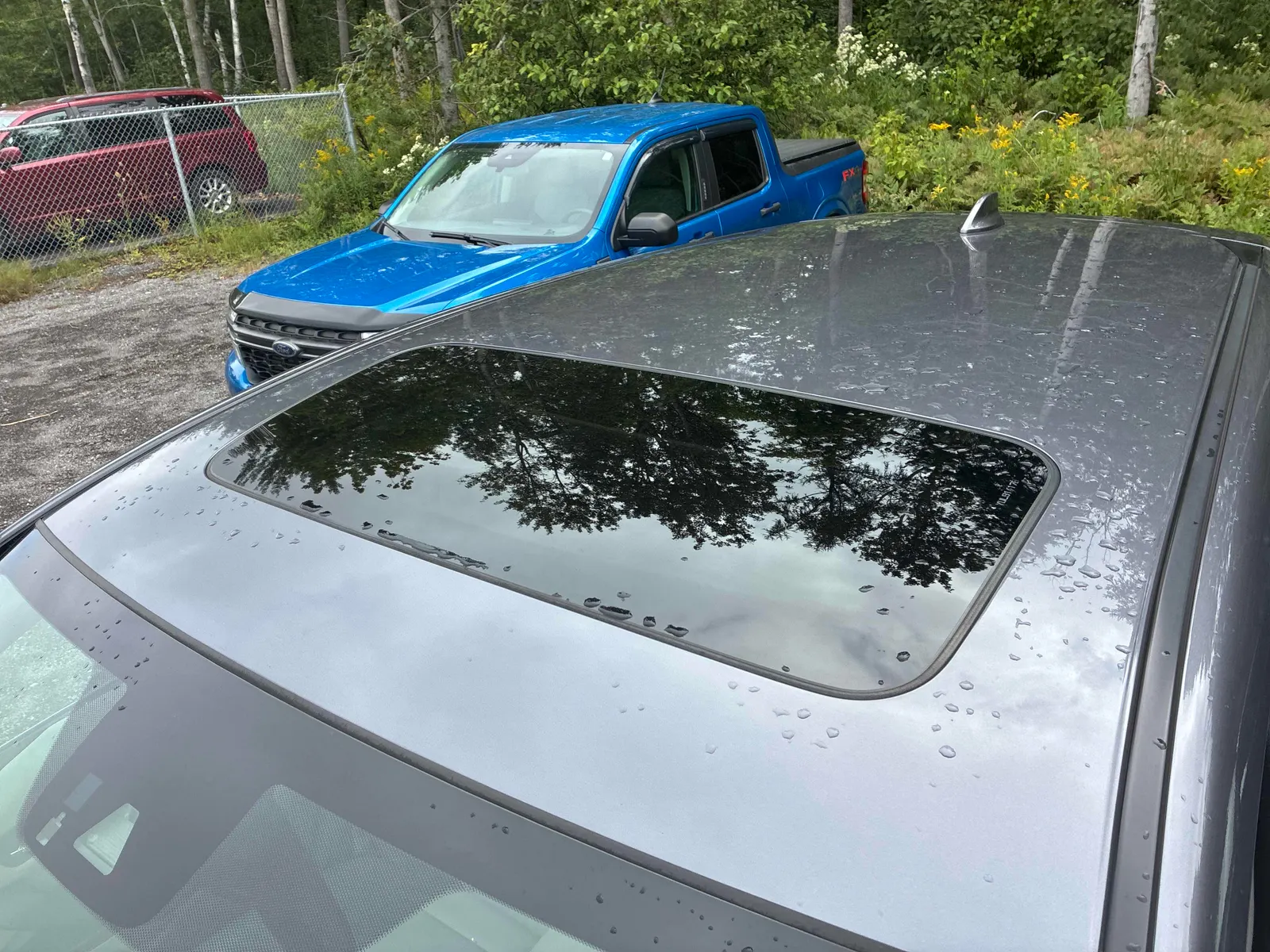Additional Photo