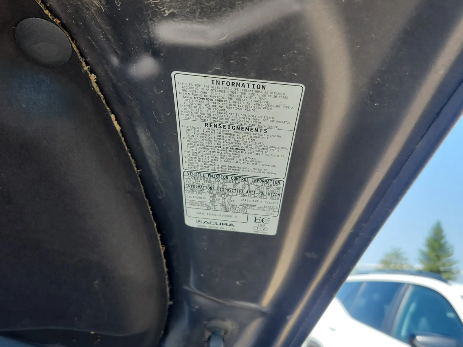 Emission Sticker Photo