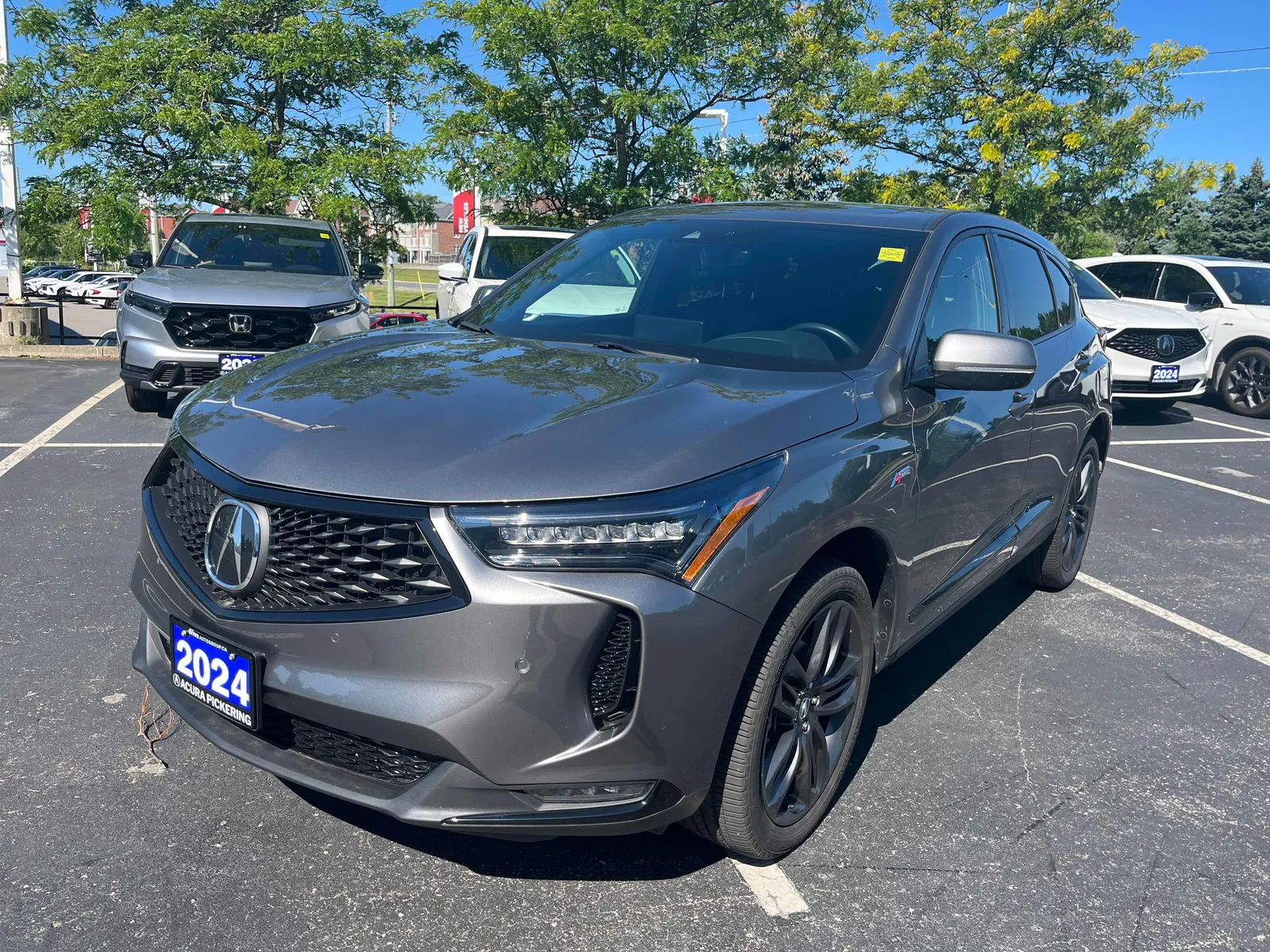 3/4 Front (Main image)