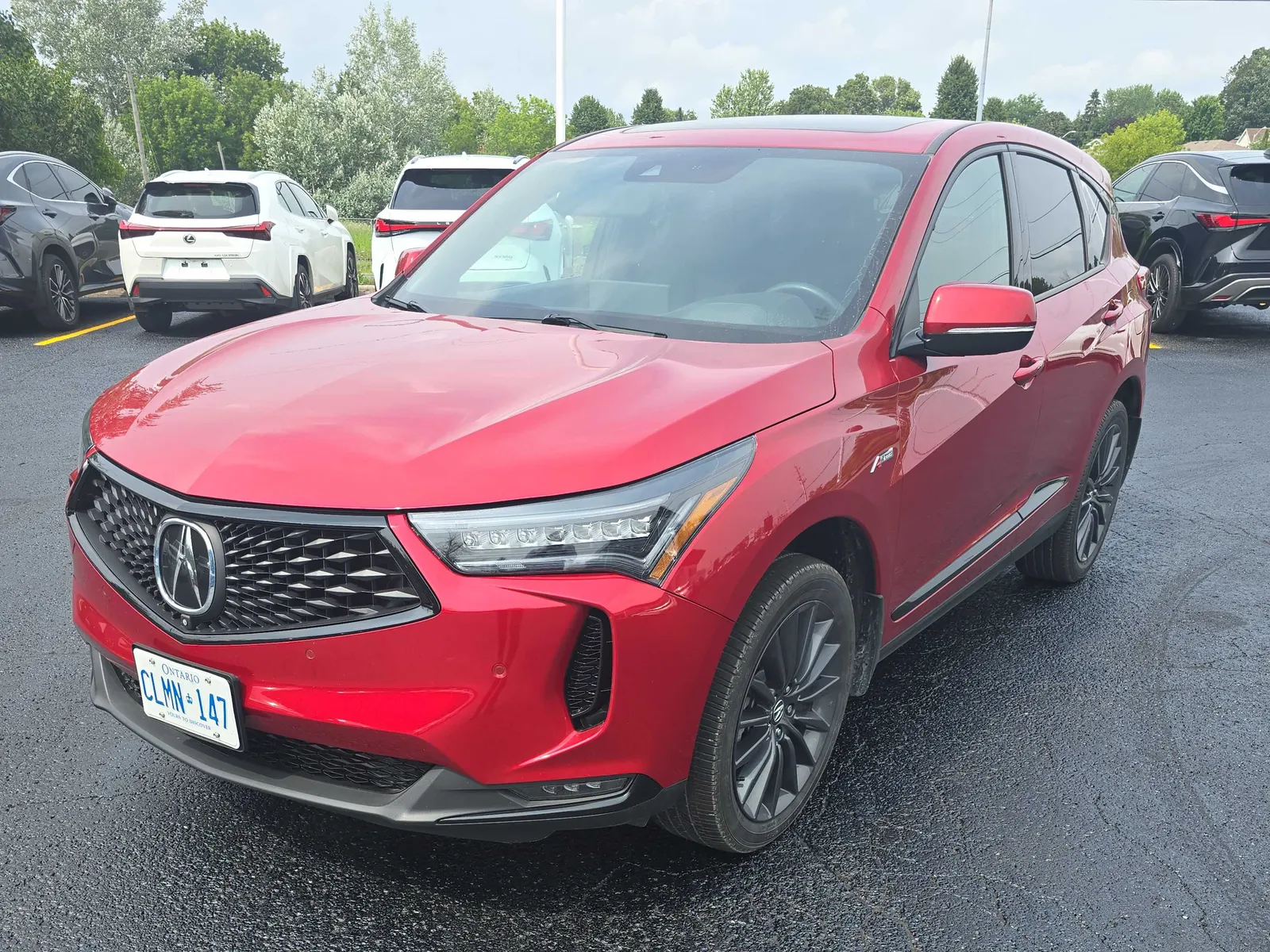 3/4 Front (Main image)