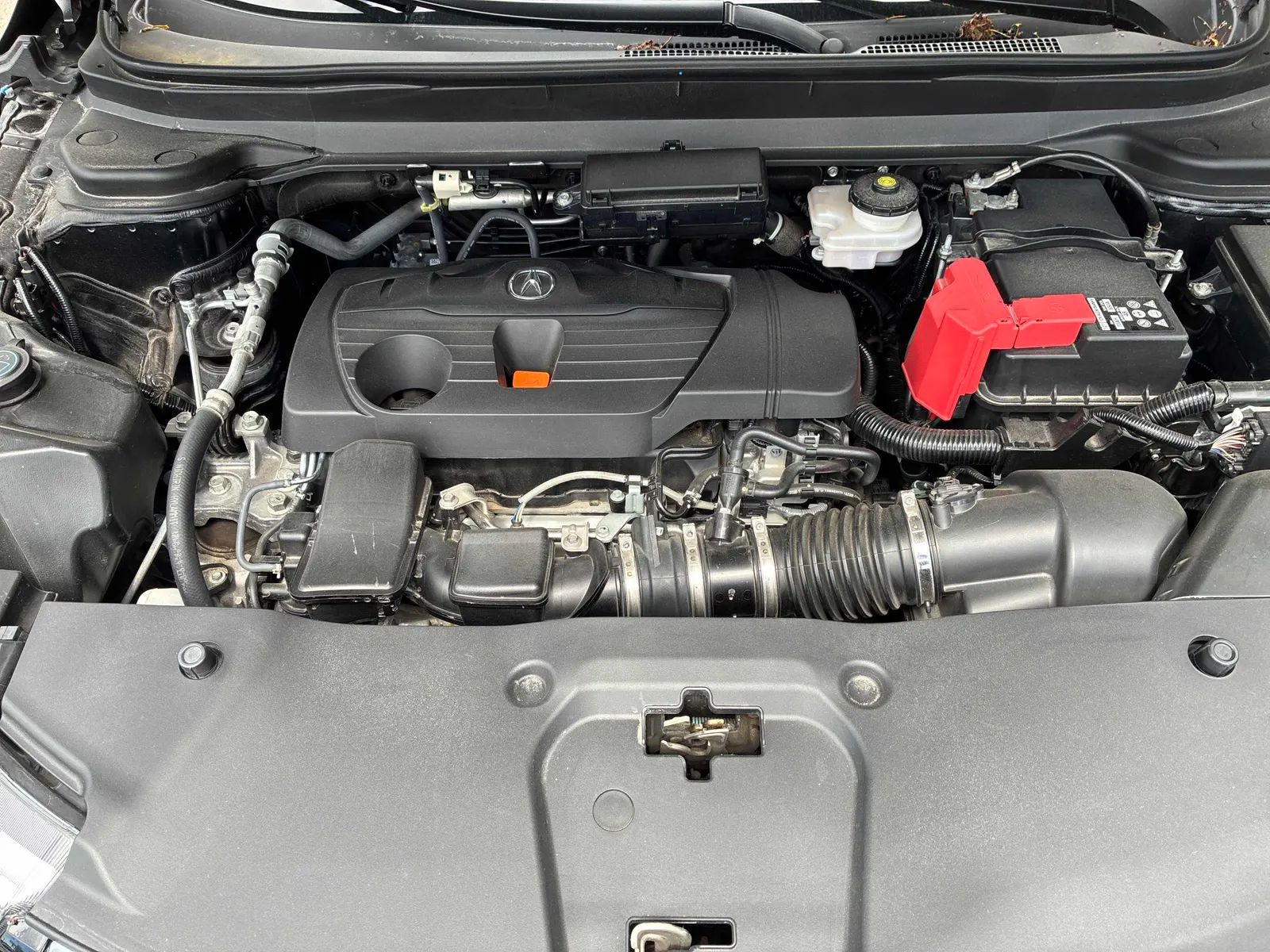 Additional Photo