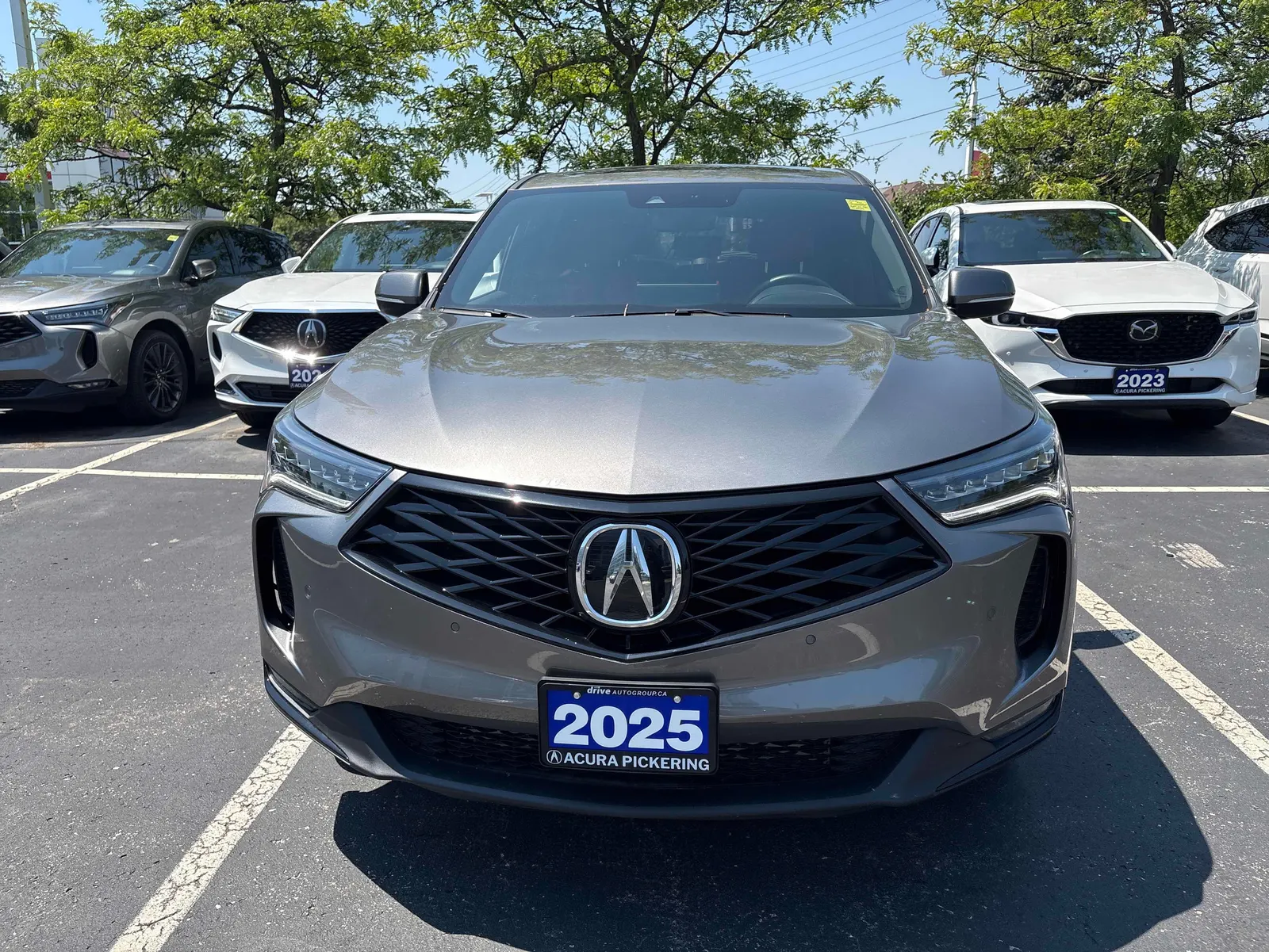 Front