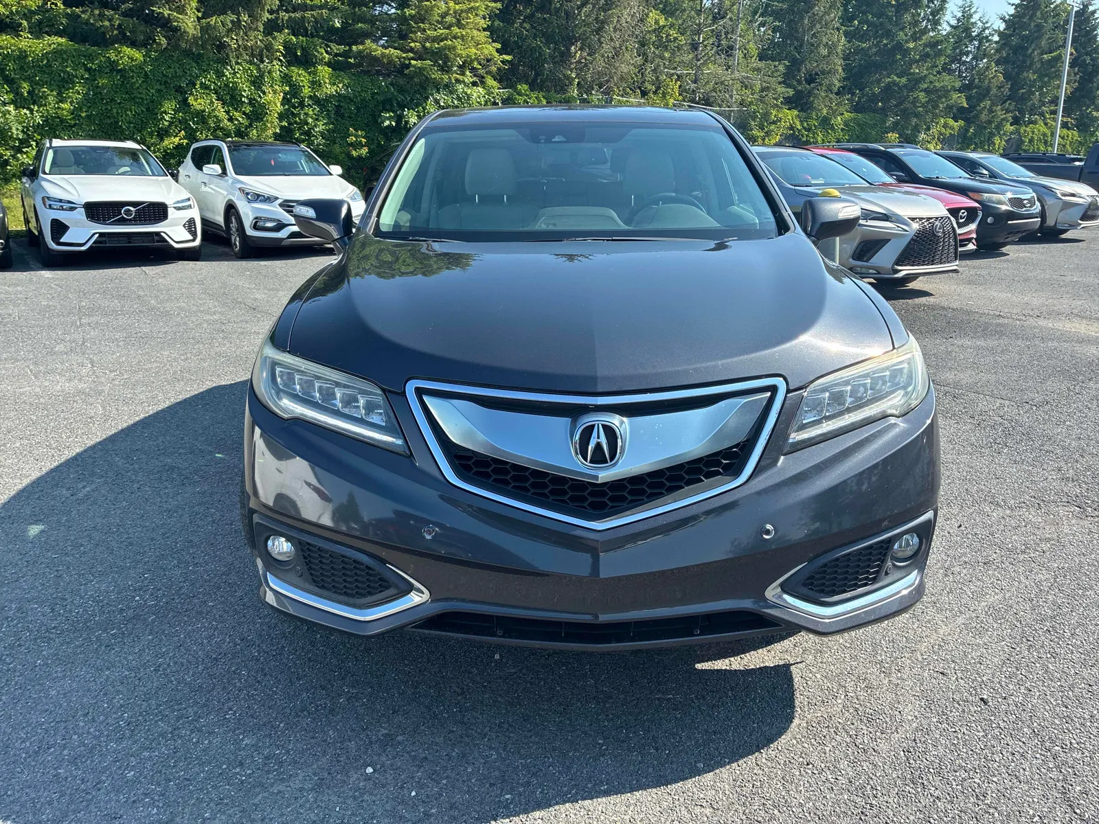 Front