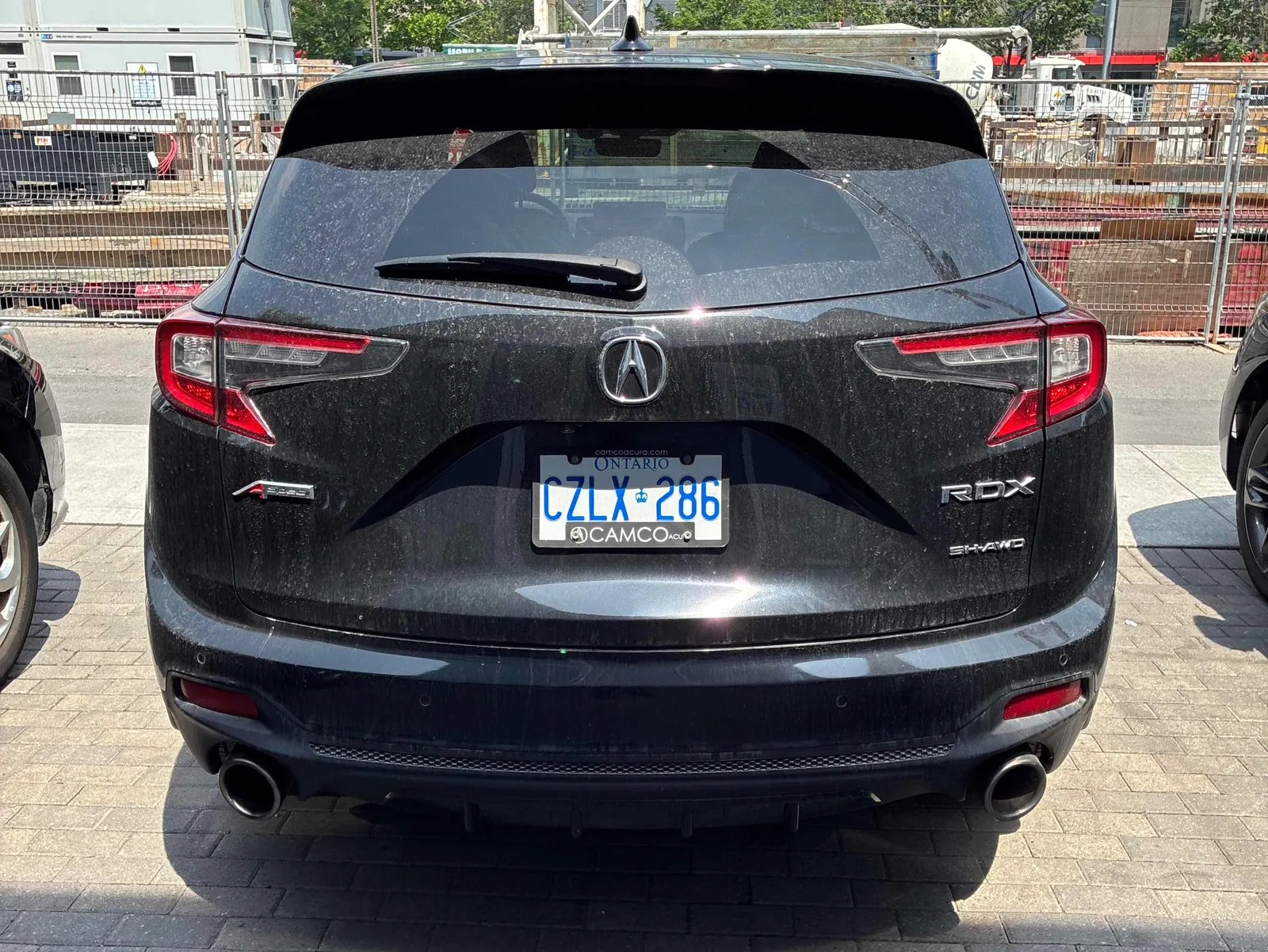 Back