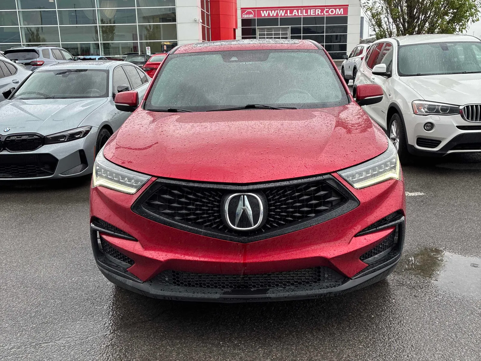Front