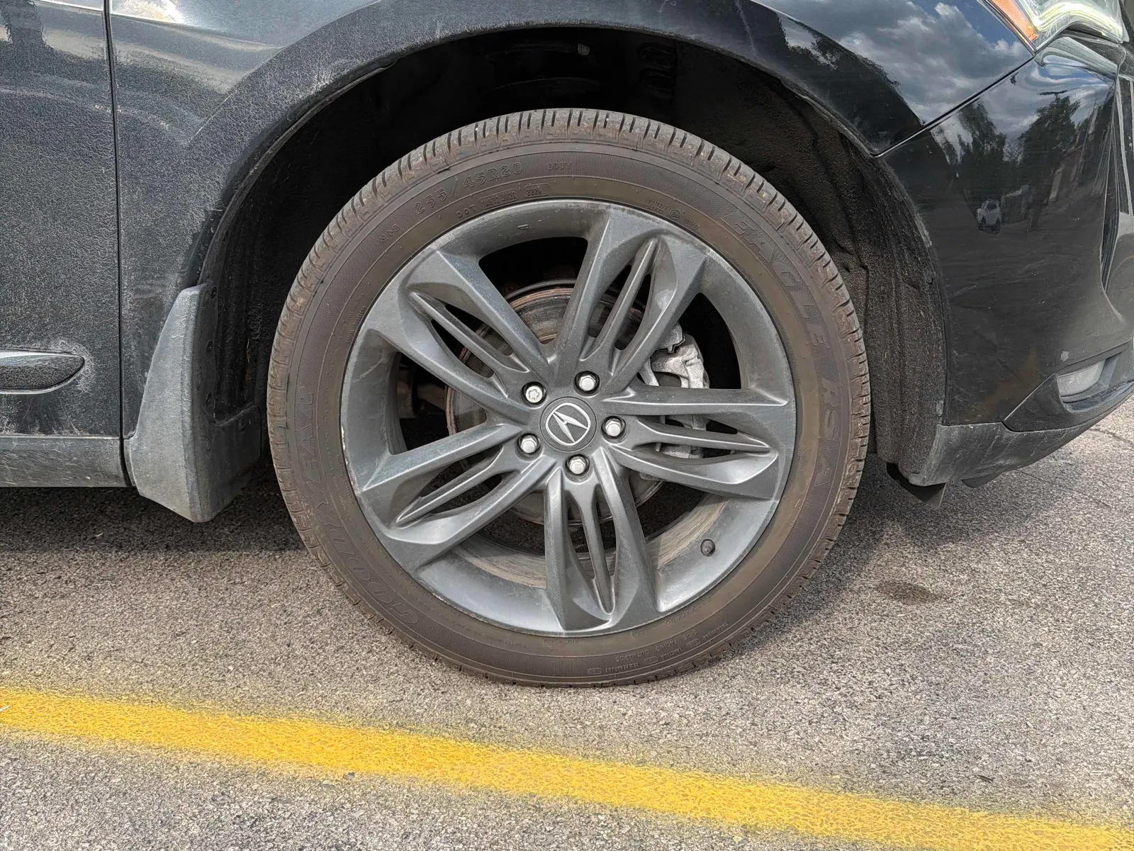 Tire