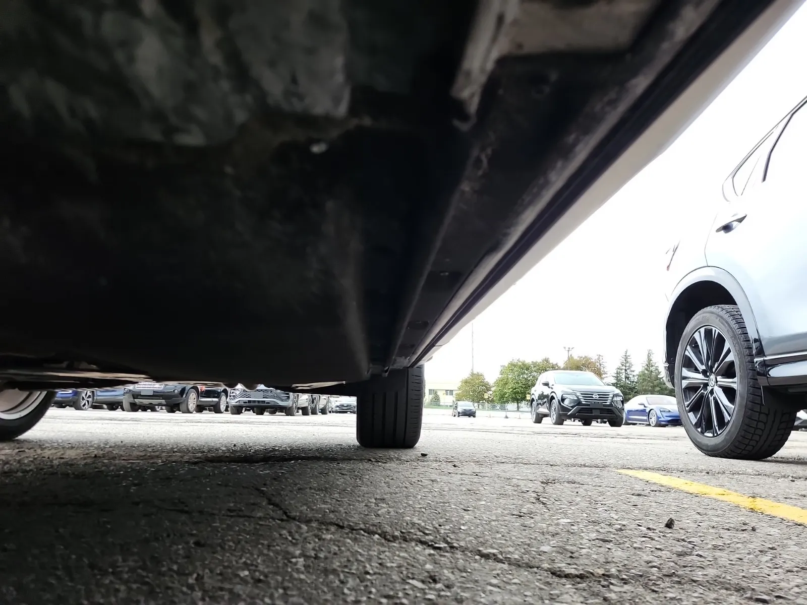 Undercarriage - Driver Photo