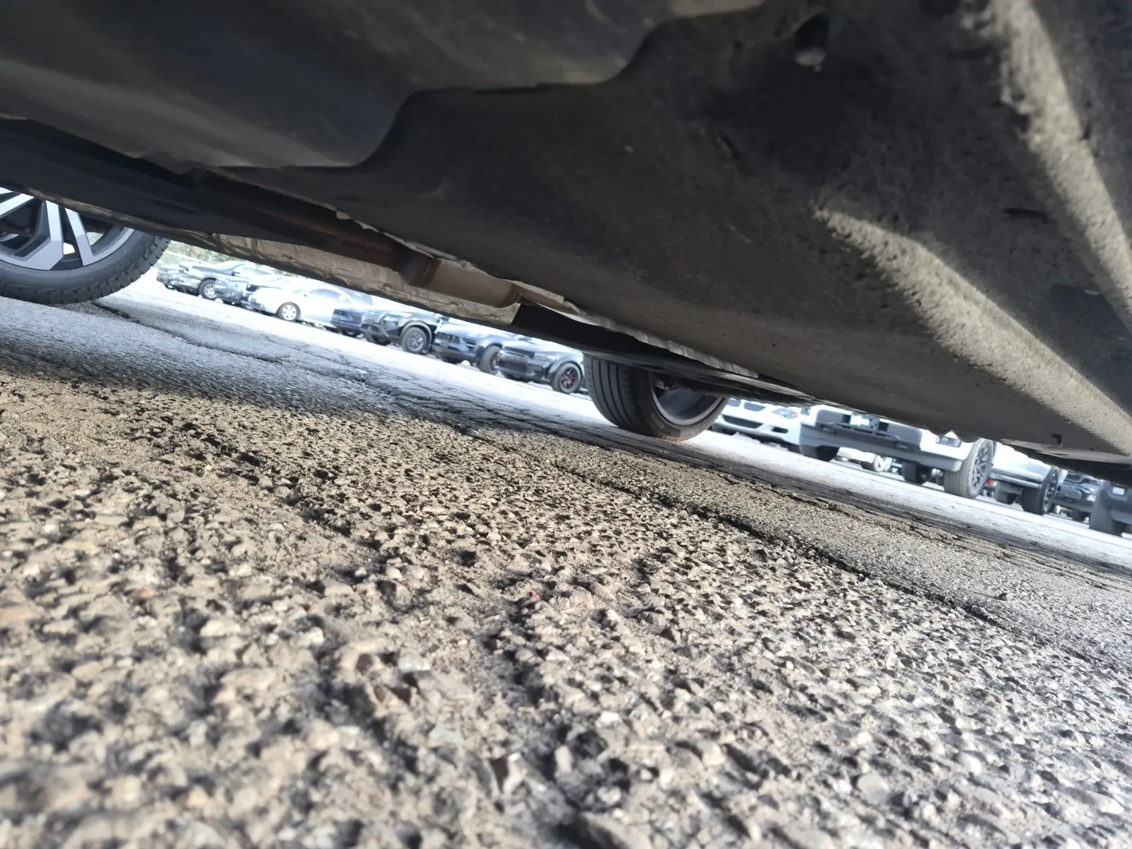 Undercarriage - Driver Photo
