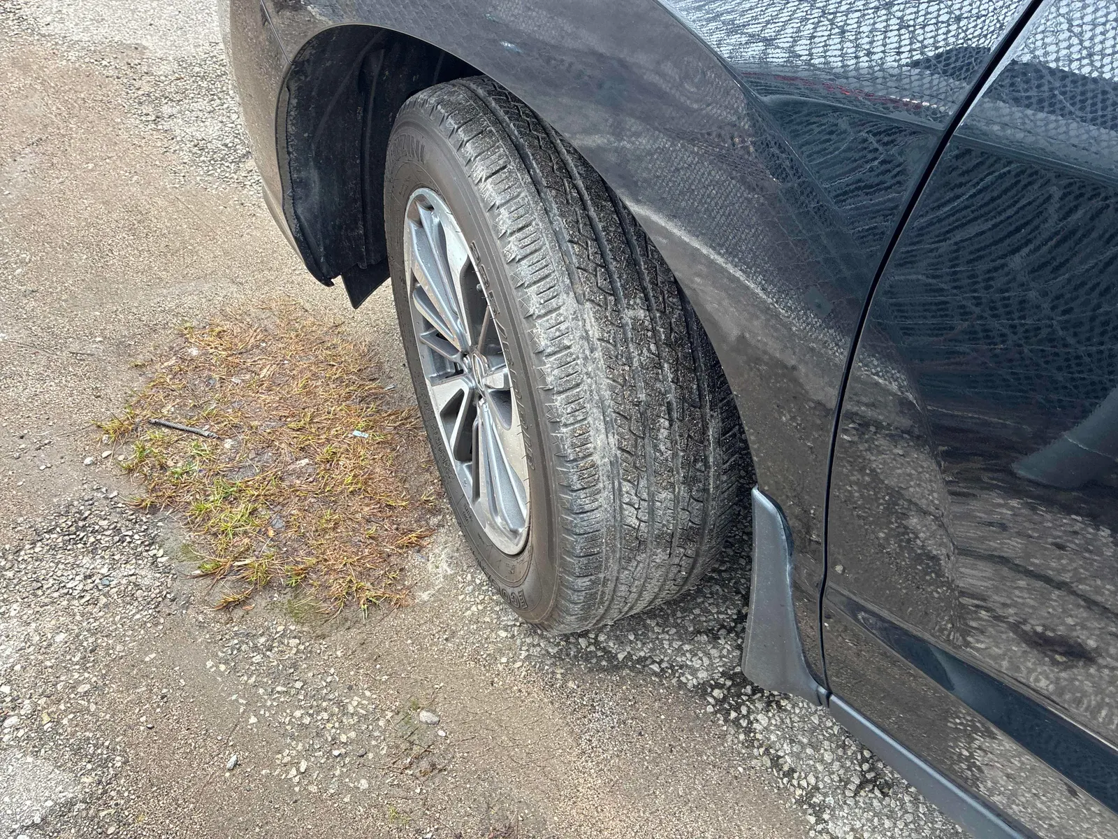 Tire