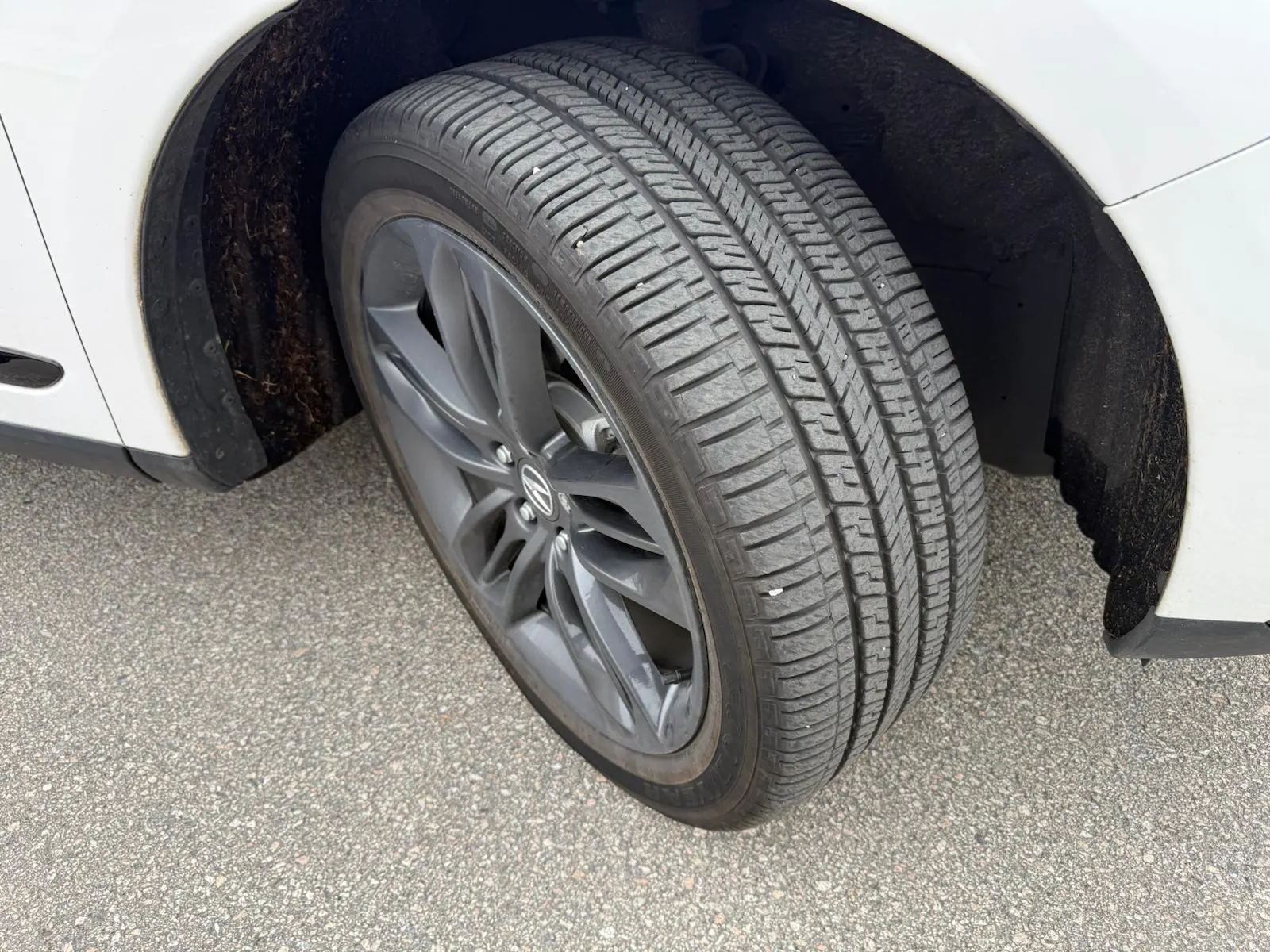 Tire