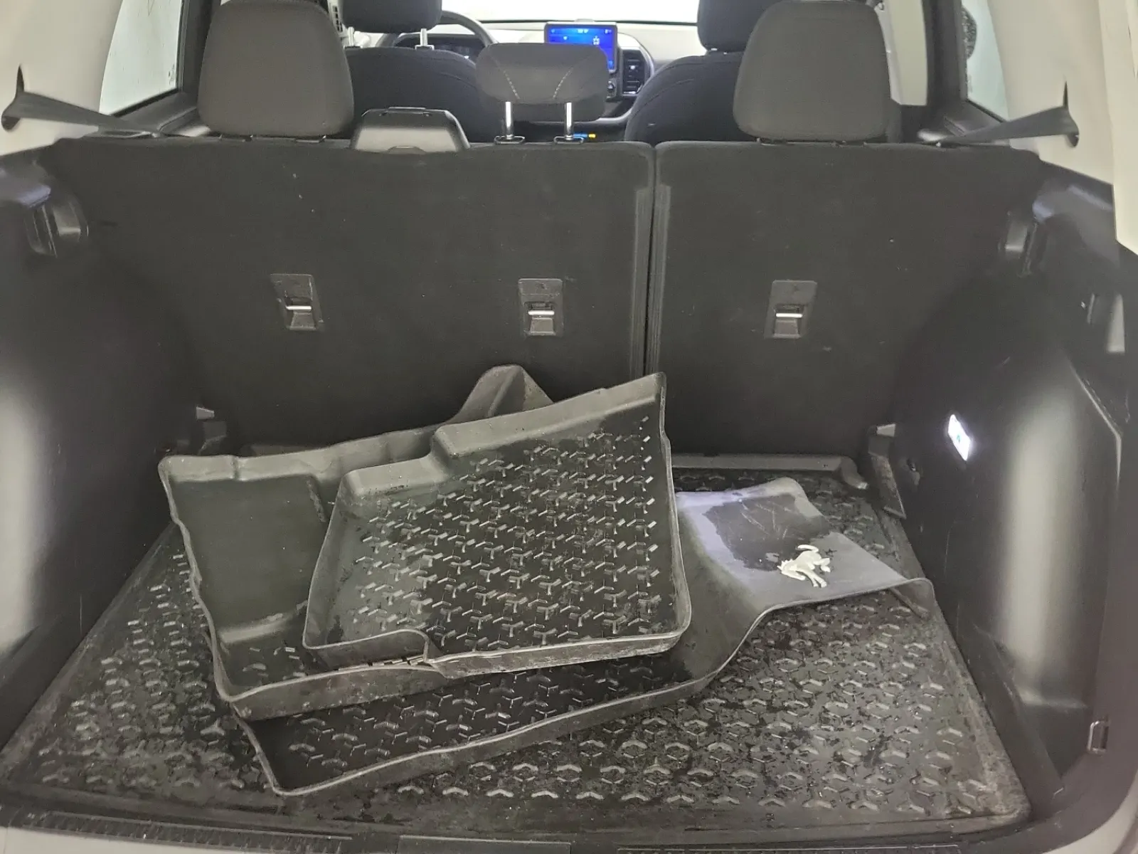 Cargo Area Photo