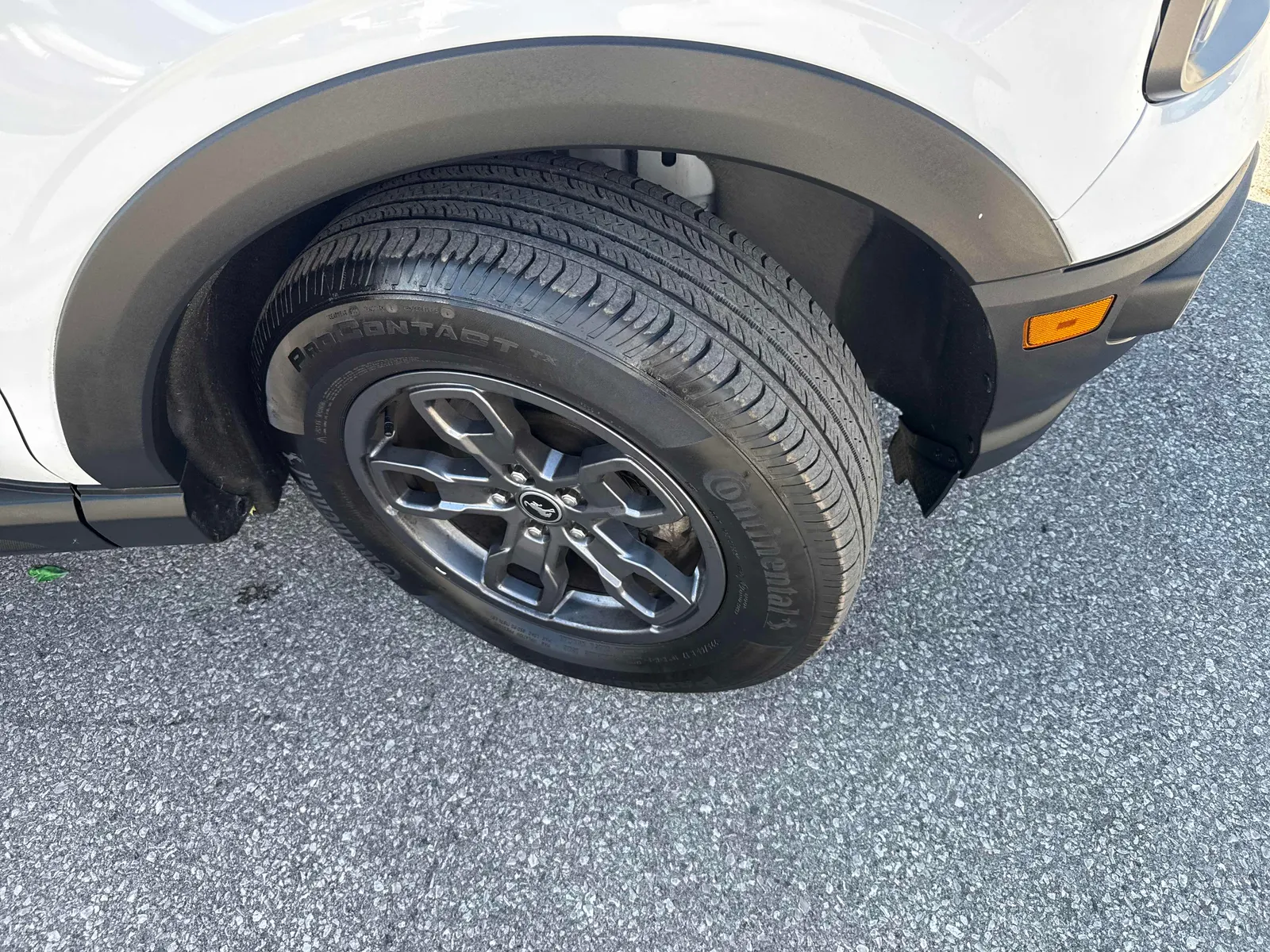Additional Photo