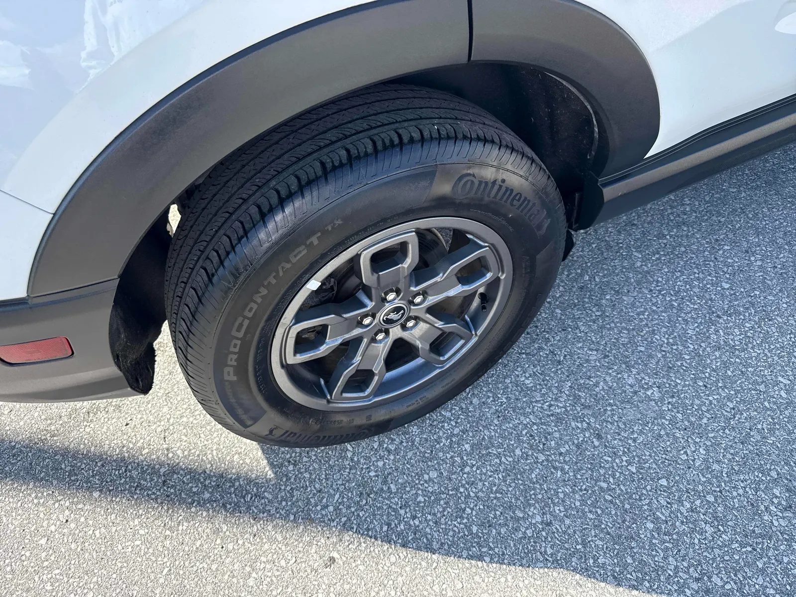 Additional Photo