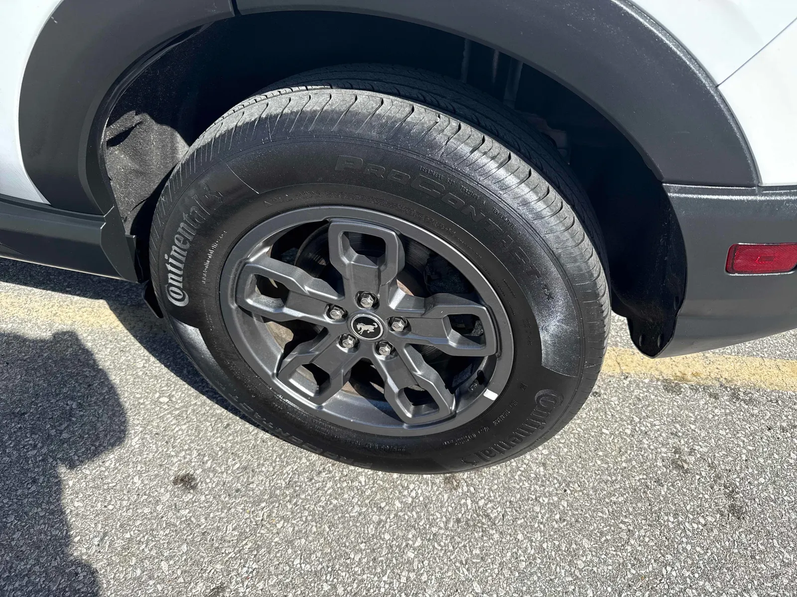 Additional Photo
