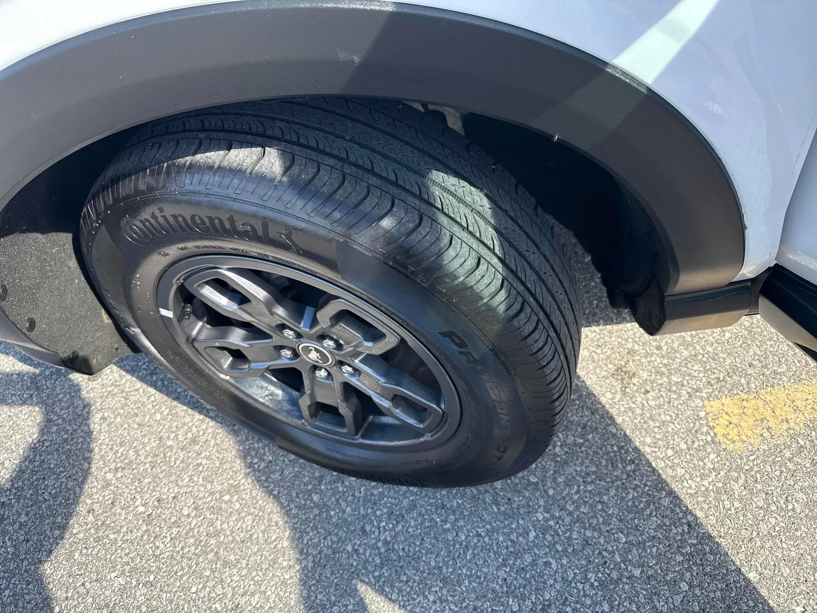 Additional Photo