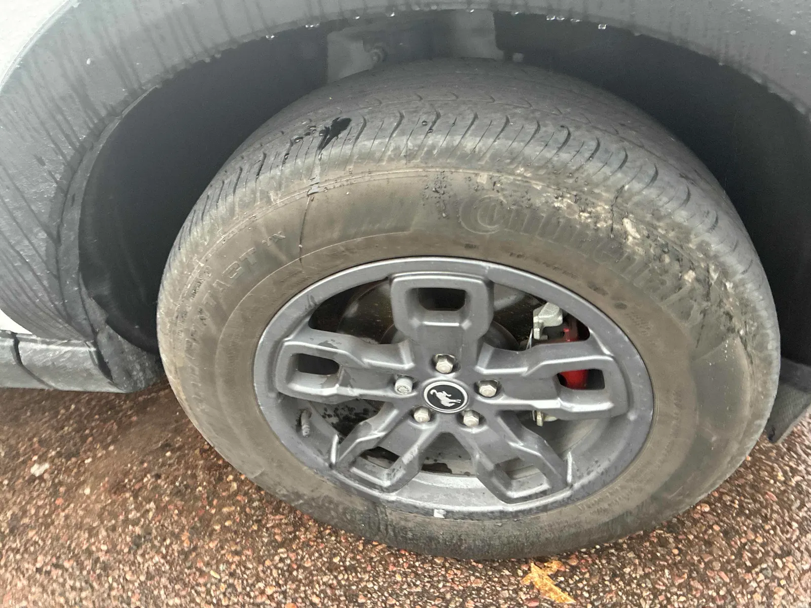 Tire