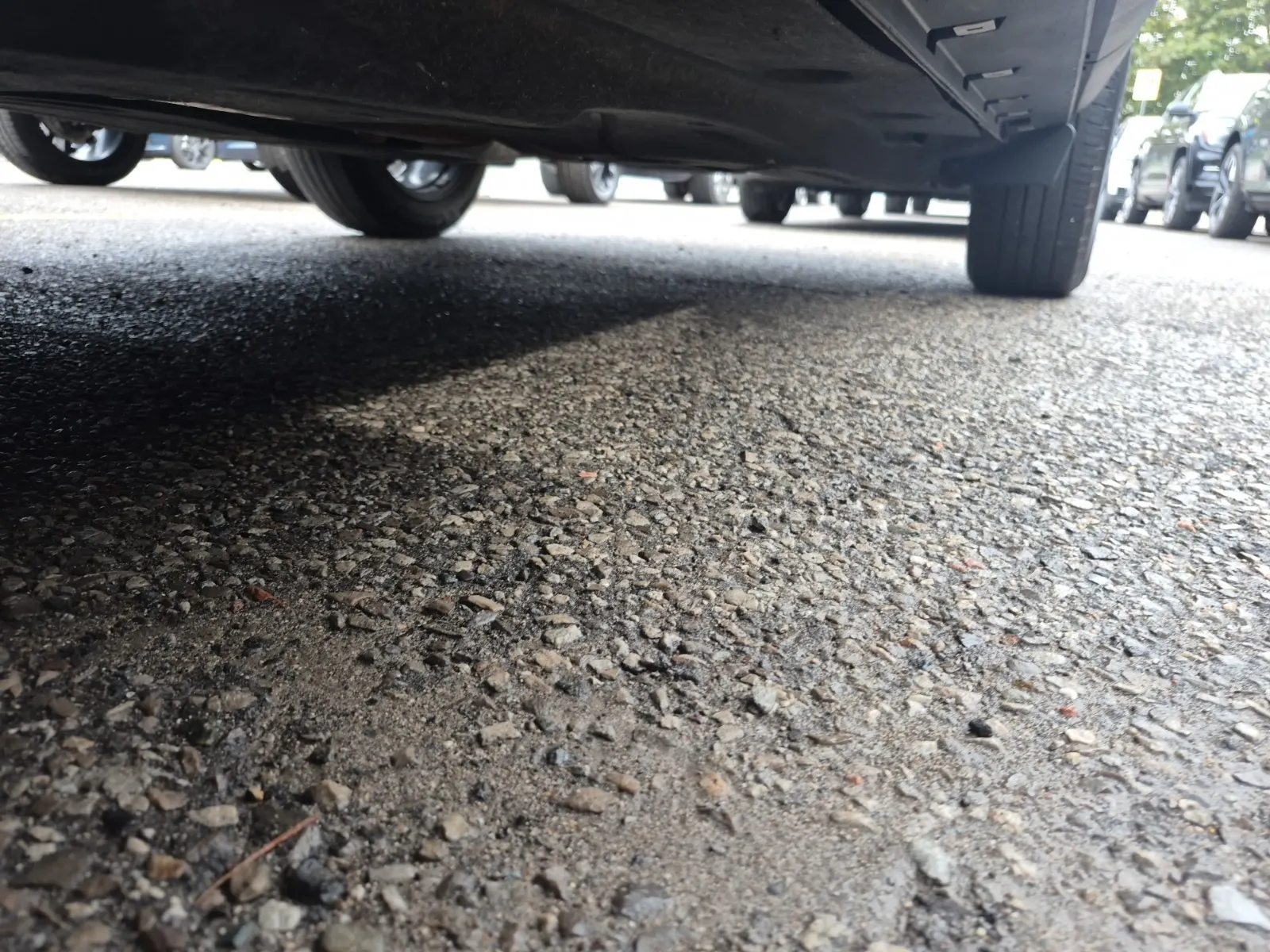 Undercarriage - Driver Photo