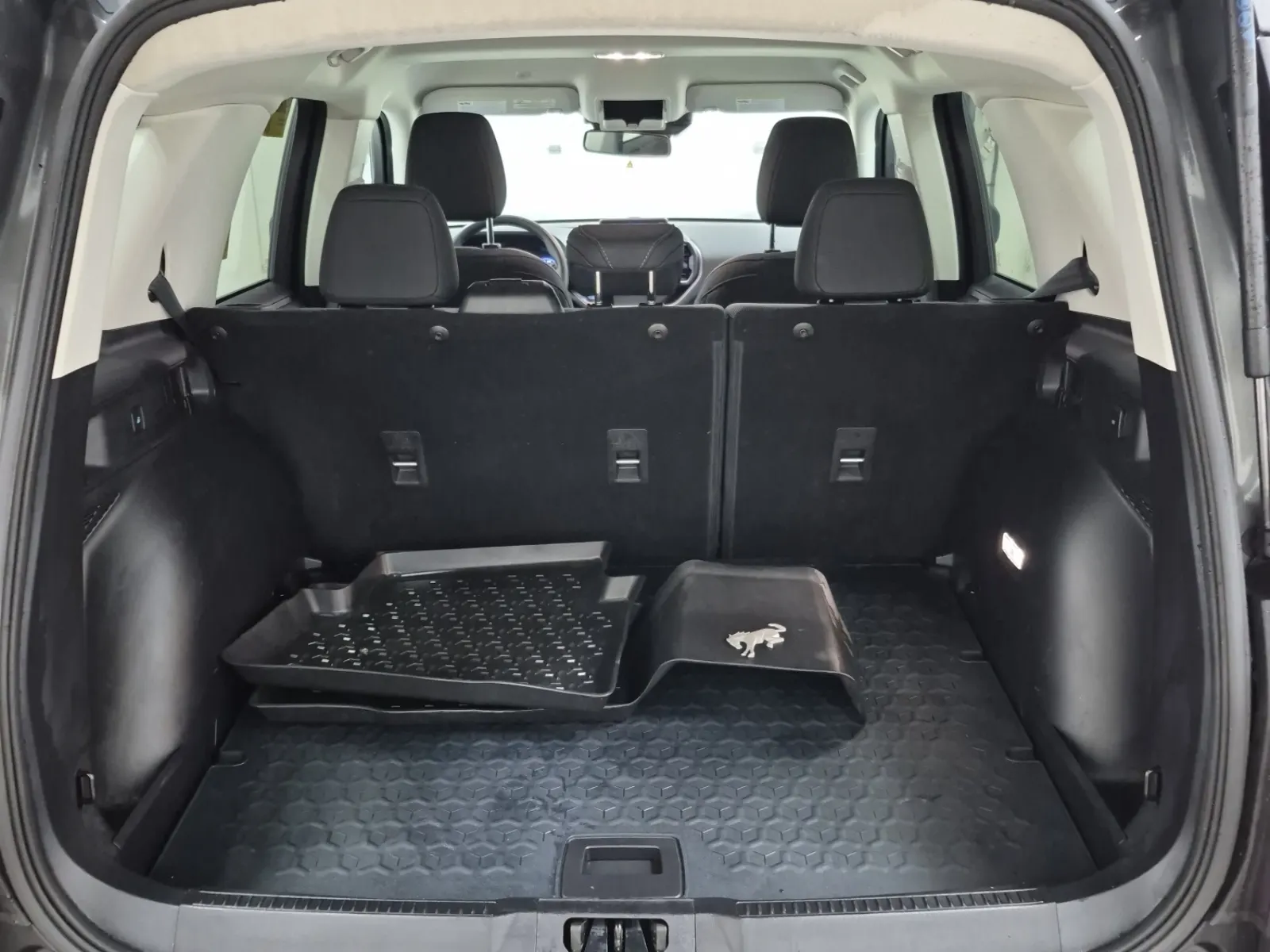 Cargo Area Photo
