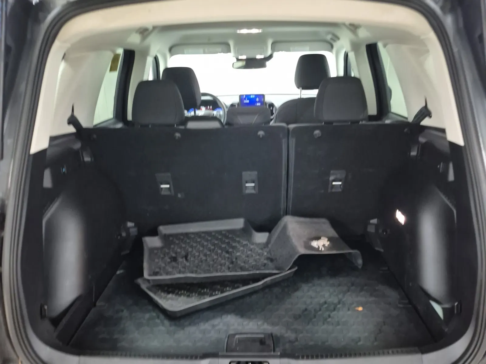 Cargo Area Photo