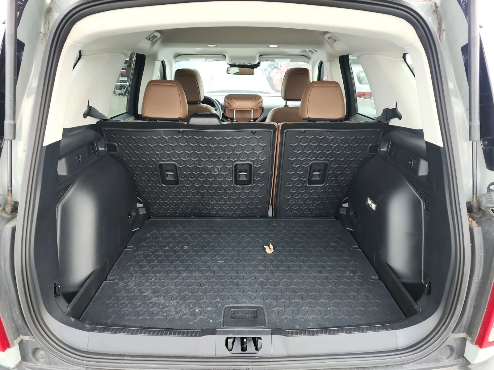 Cargo Area Photo