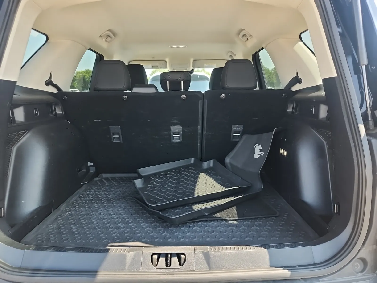 Cargo Area Photo