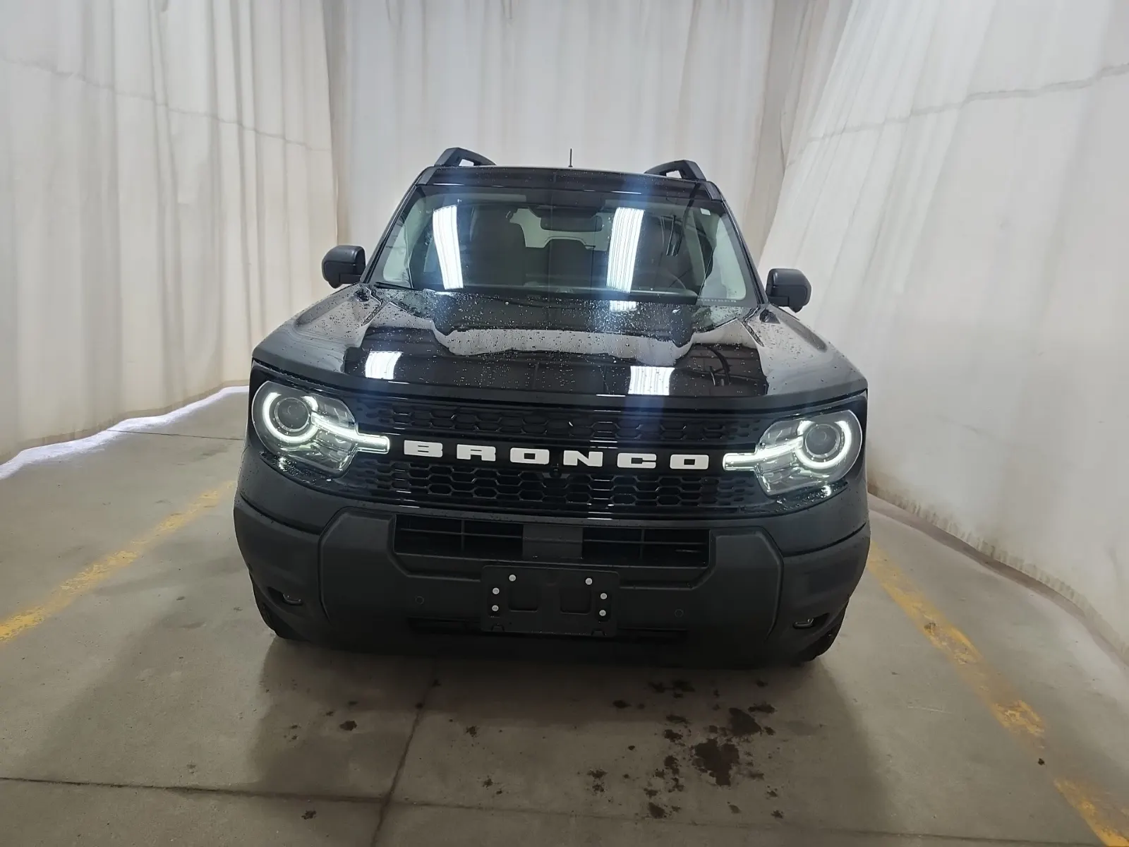 Full Front Photo