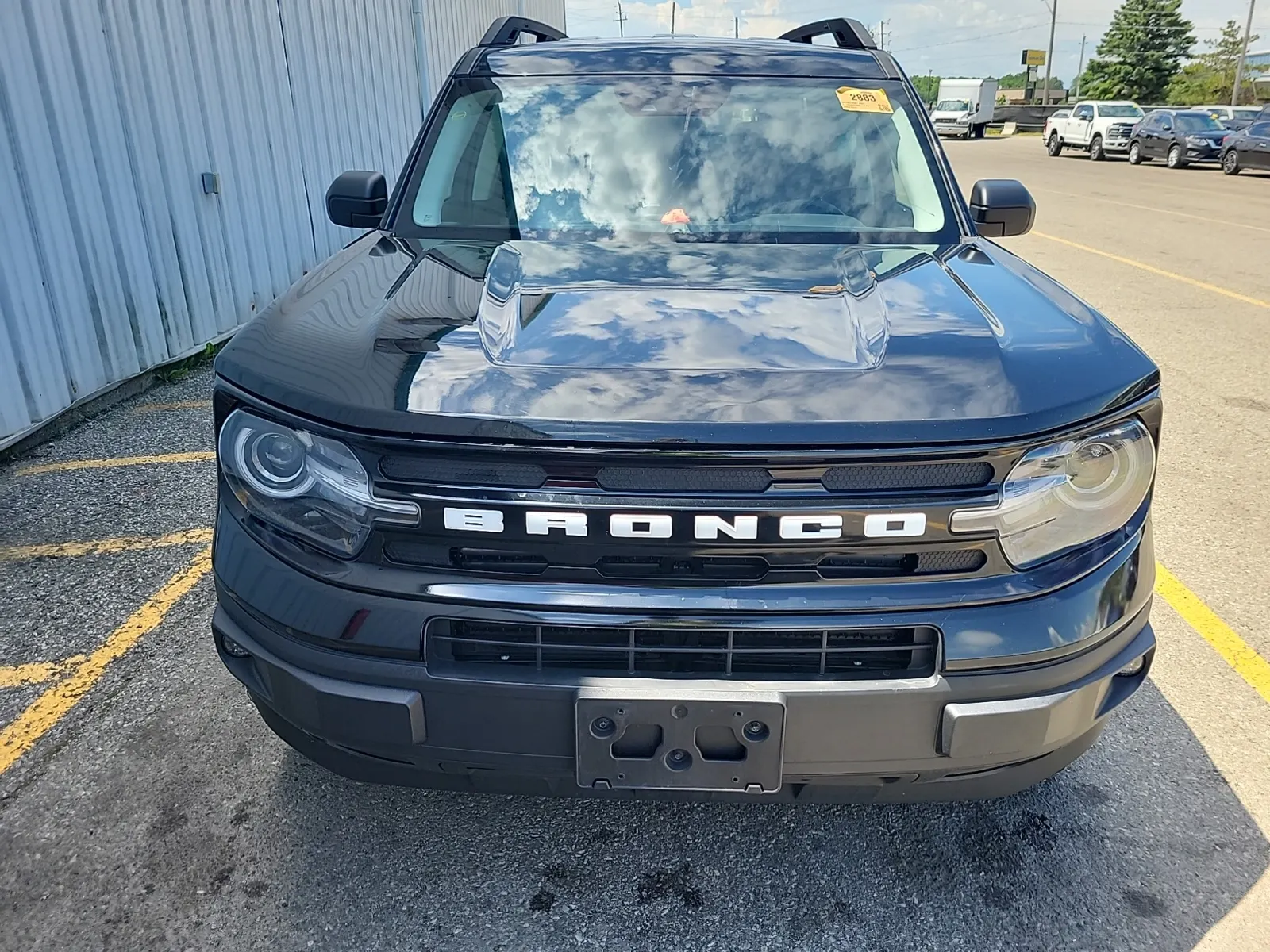 Full Front Photo