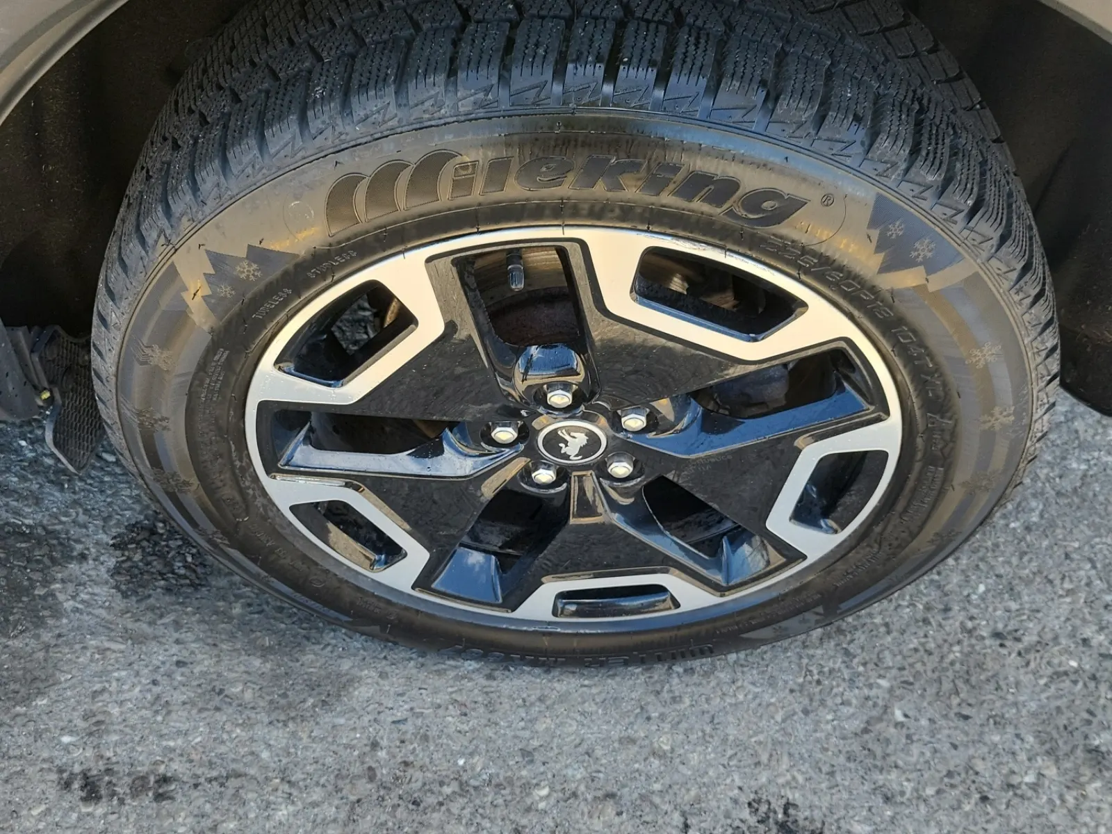 Left Rear Wheel/Tire Photo