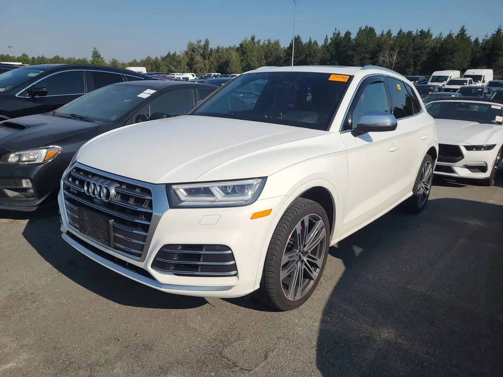 2019 Audi SQ5